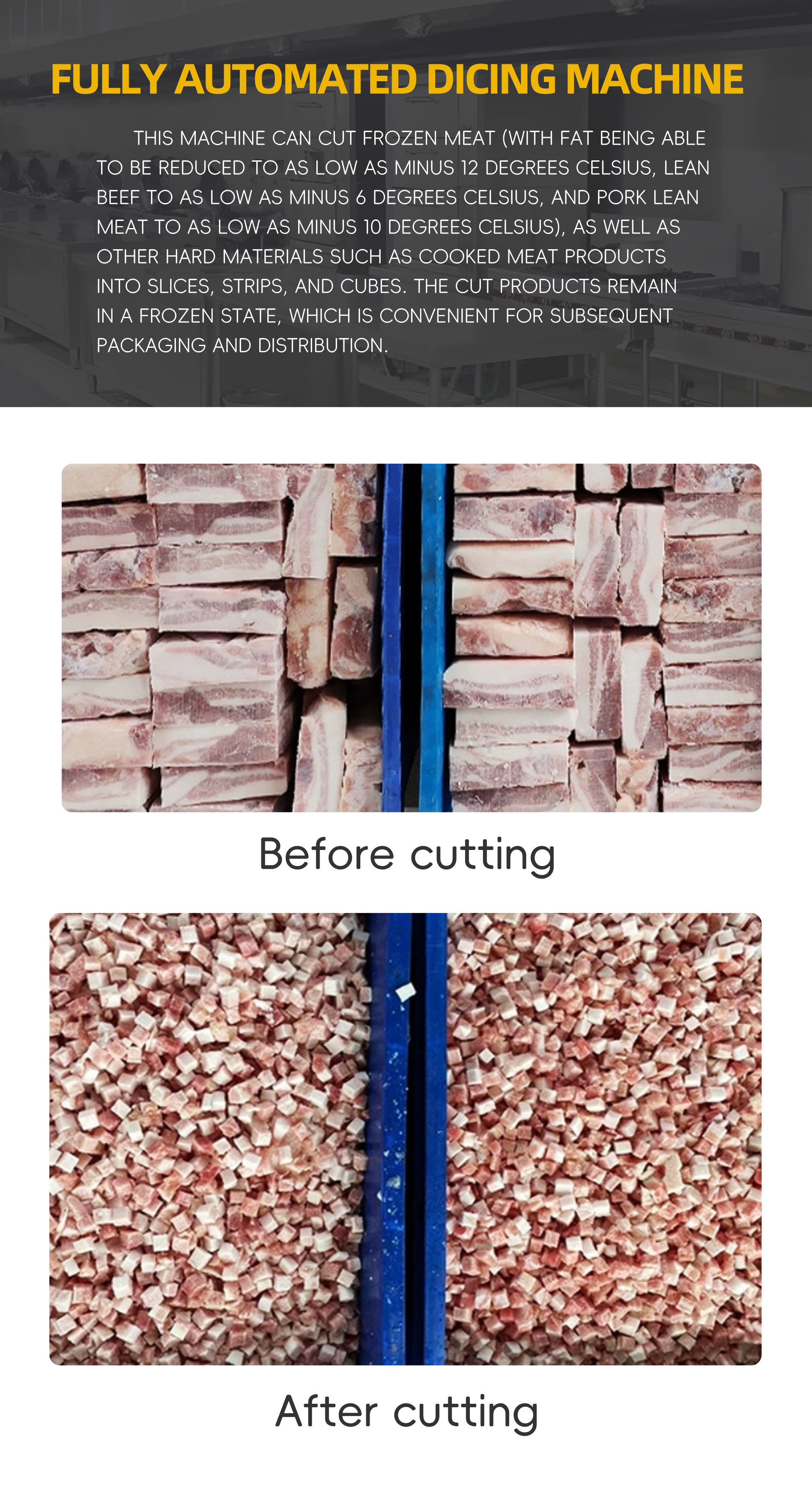 切丁机首页英文_09 切丁机首页英文_09