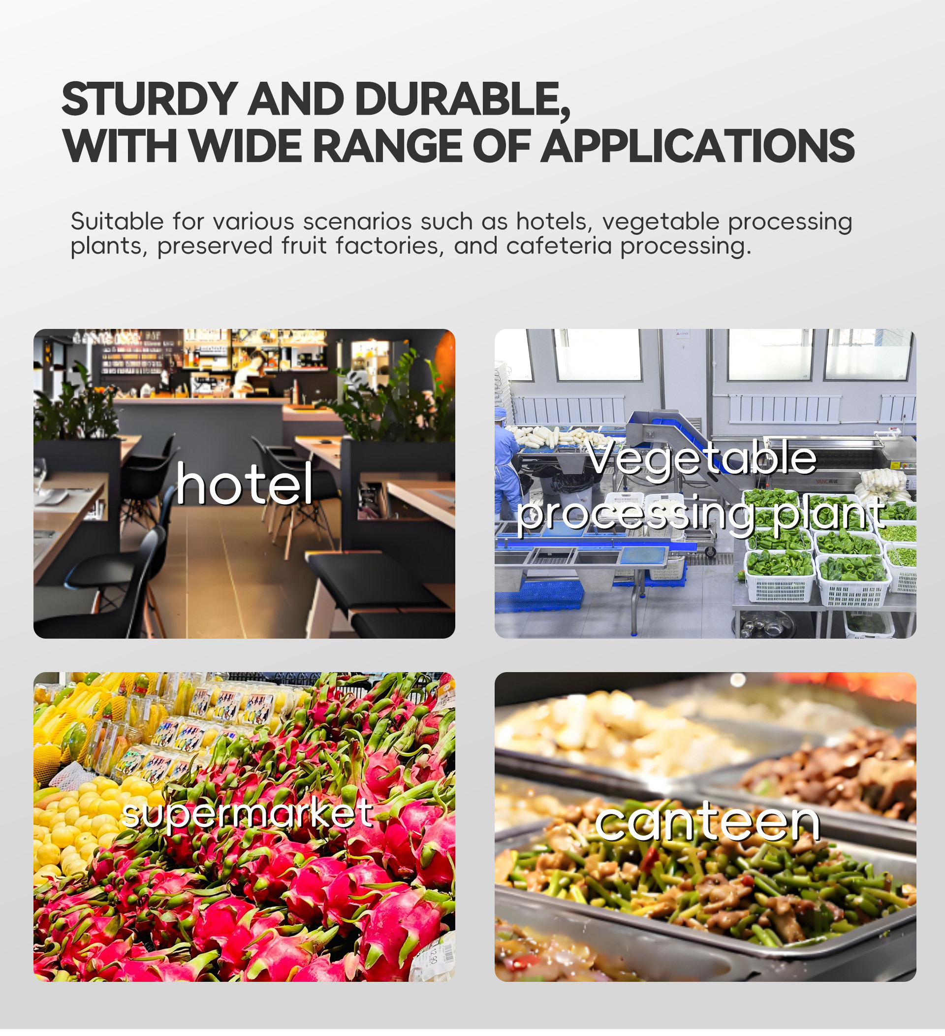 小型根茎类流水线英文10