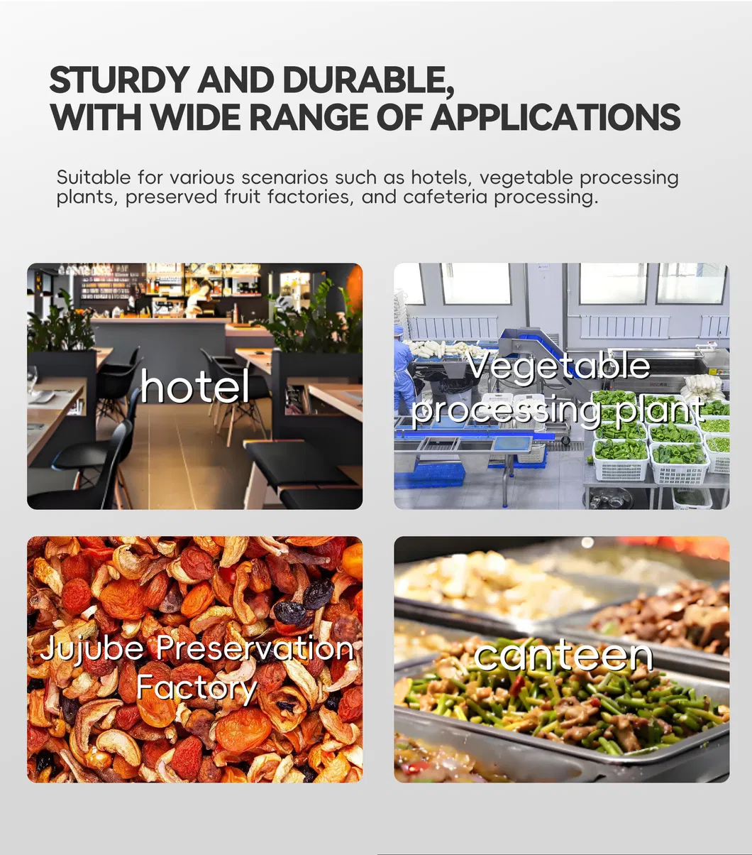 Dongsheng-Easy-Operation-Multi-Functional-Food-Processing-Equipment(24) Dongsheng-Easy-Operation-Multi-Functional-Food-Processing-Equipment(24)