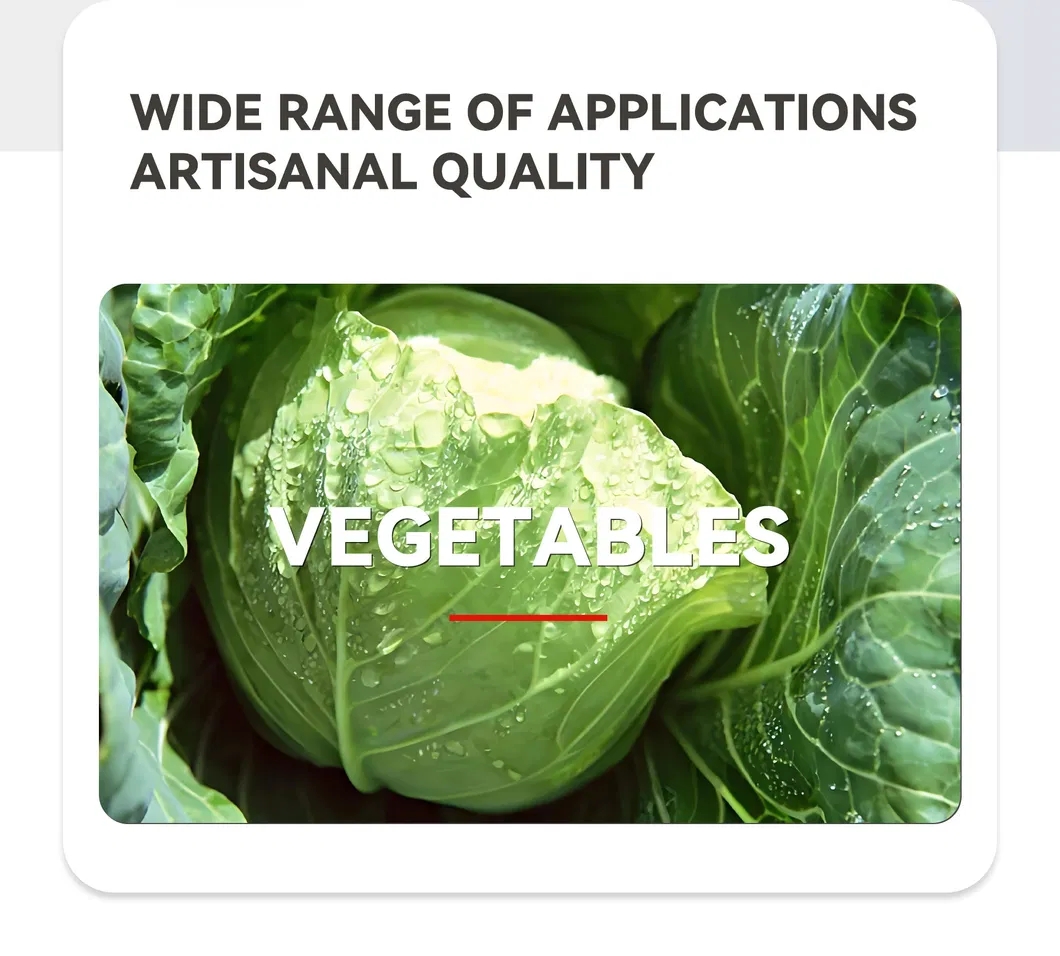 20251107_110226_013 20251107_110226_013