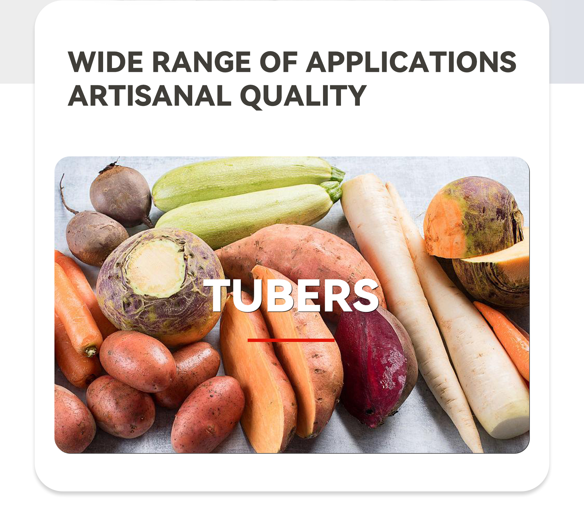 小型根茎类流水线英文2