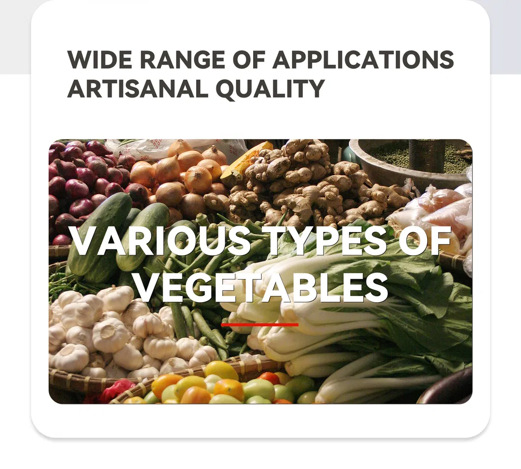 Dongsheng-Easy-Operation-Multi-Functional-Food-Processing-Equipment(19) Dongsheng-Easy-Operation-Multi-Functional-Food-Processing-Equipment(19)