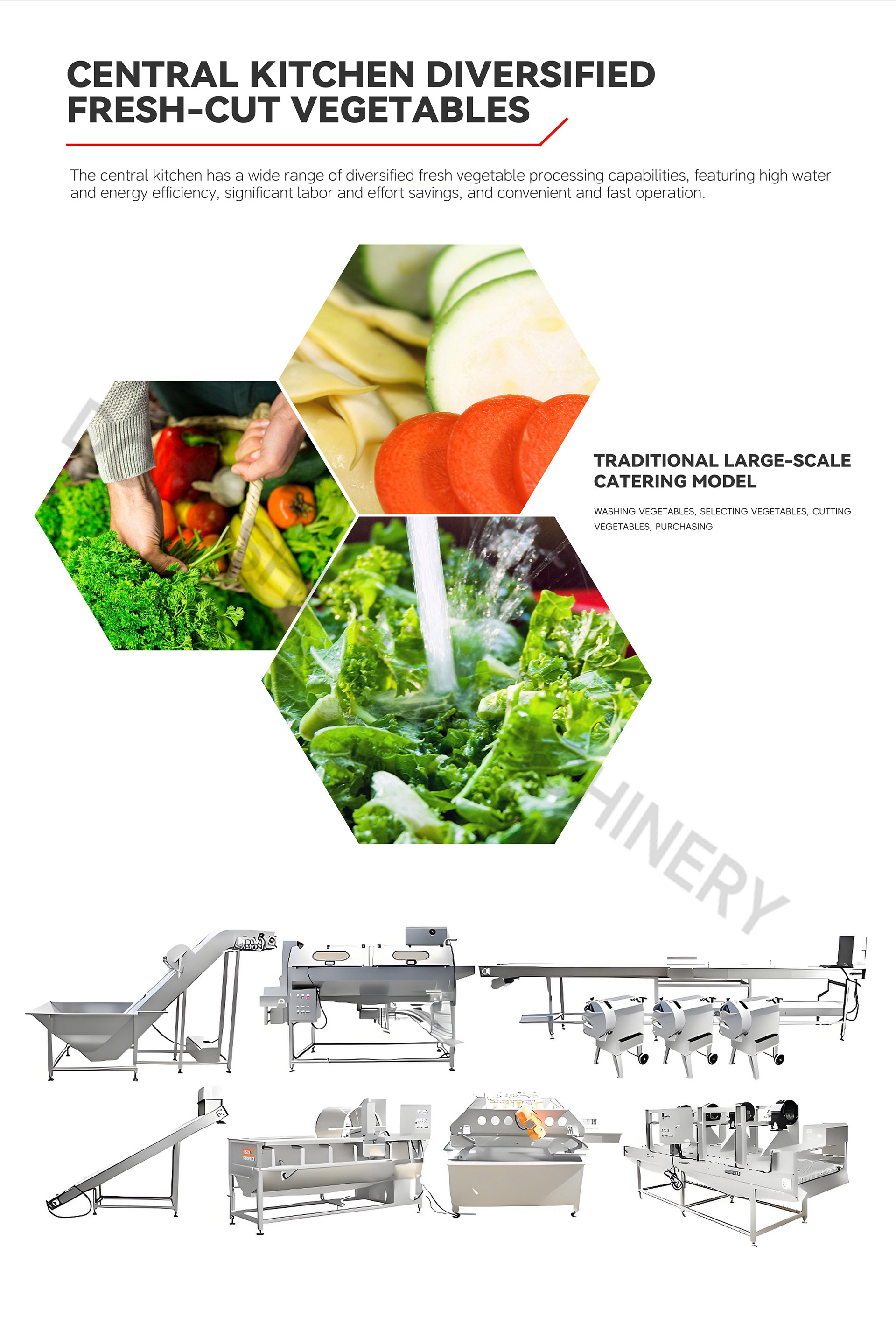 小型根茎类流水线英文6