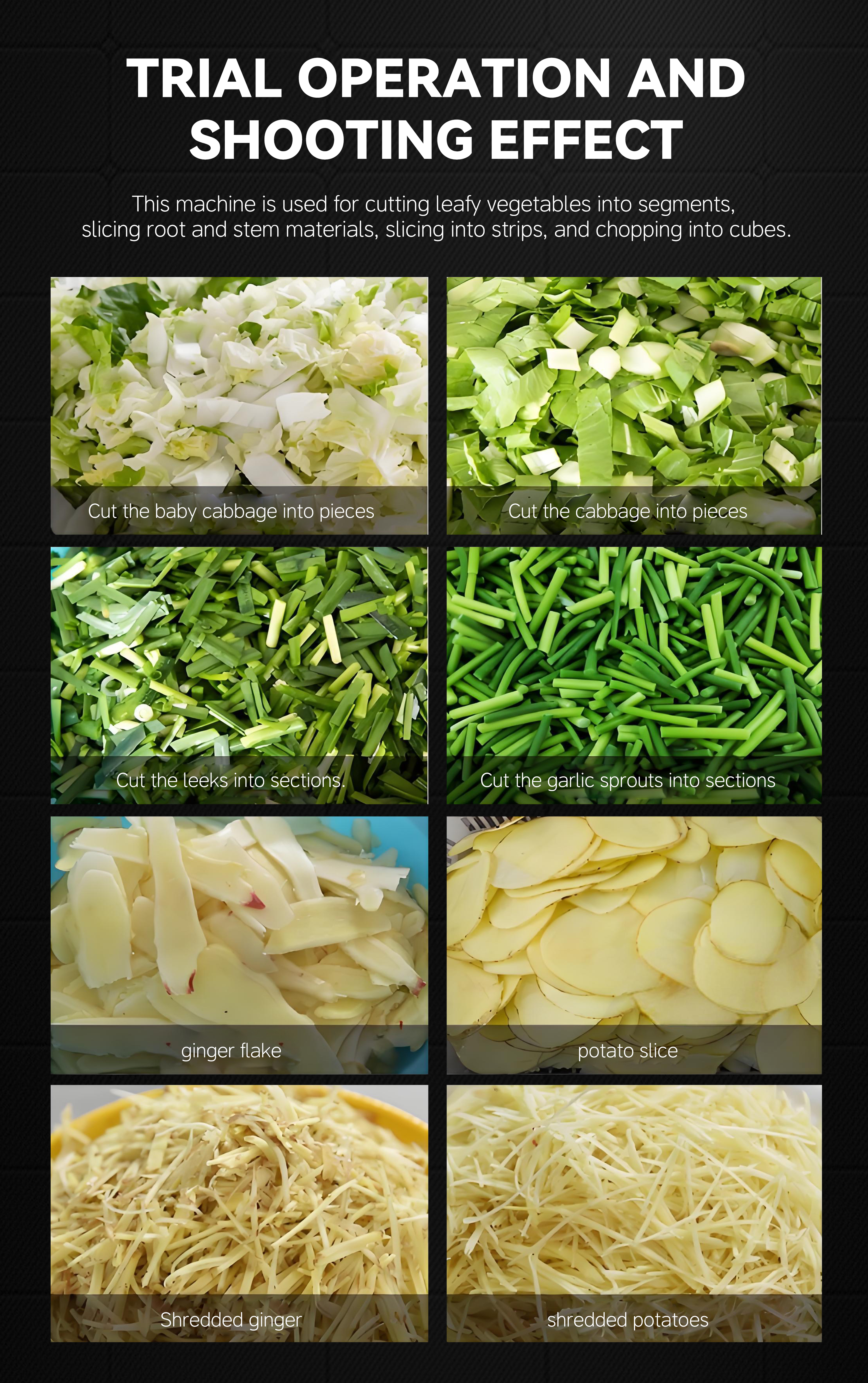 第二、三、十四、十五、十六、十七、18、19、21、24款 第二、三、十四、十五、十六、十七、18、19、21、24款