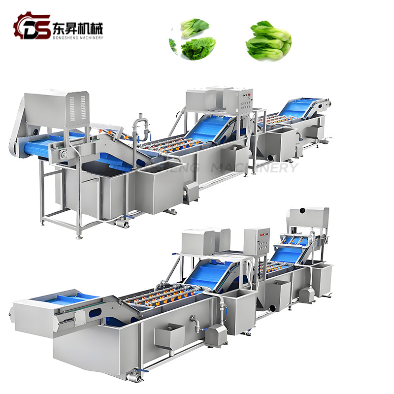 Water Saving High Efficiency Machine with Soft Sprayers for Medium Veg Plants Vegetable Nondestructive Cleaning Line