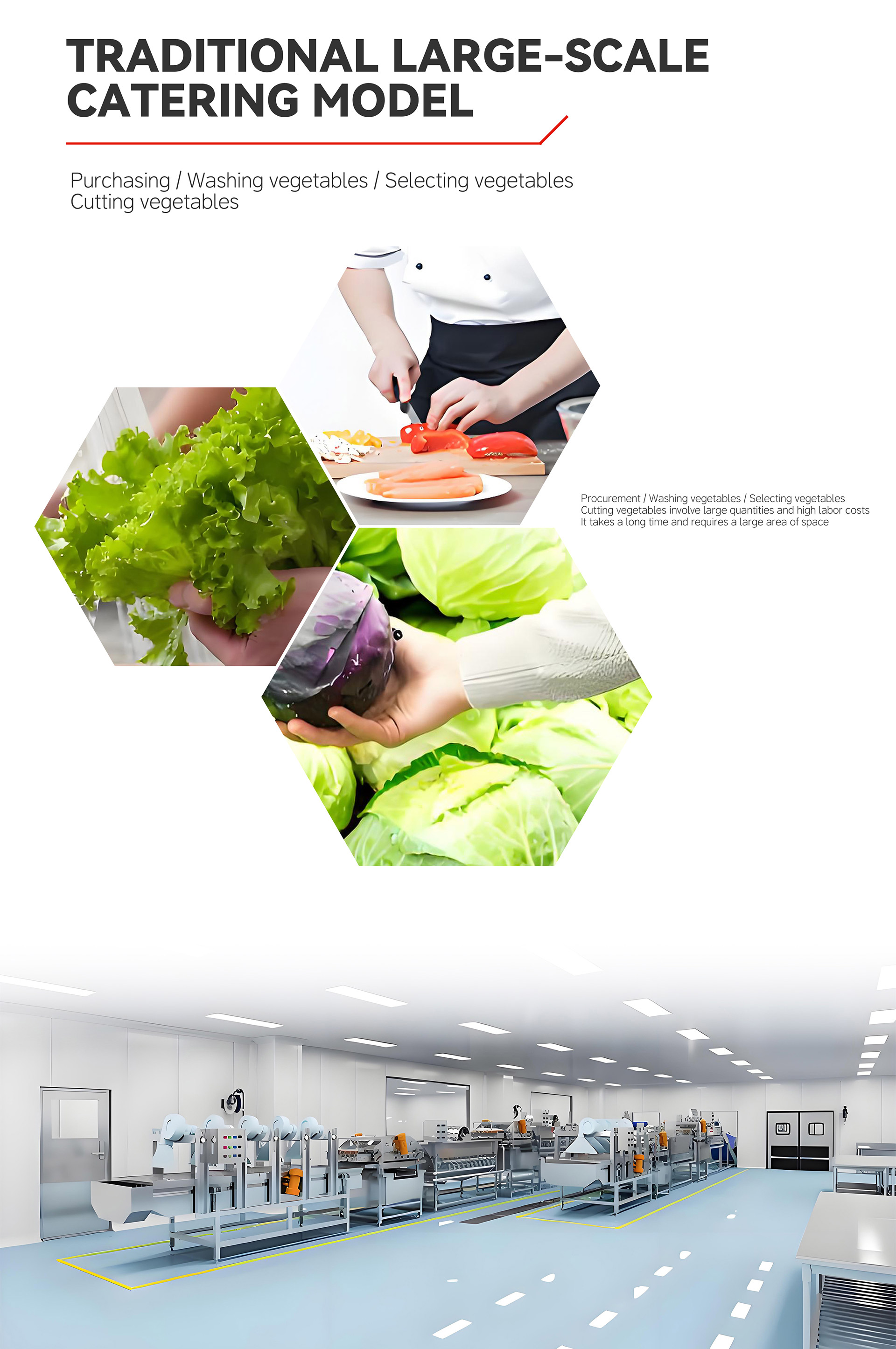 双用蔬菜加工流水线英文_01 (4)
