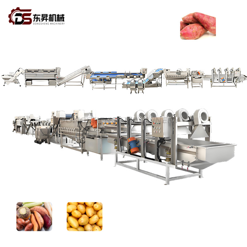 Corrosion Resistant Stainless Steel System for Large Scale Veg Factories Root Vegetable Processing Line
