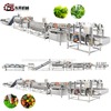 Stainless Steel Durable Machinery with Blanching Dehydration Units for Leafy Veg Plants Leafy Vegetable Processing Line