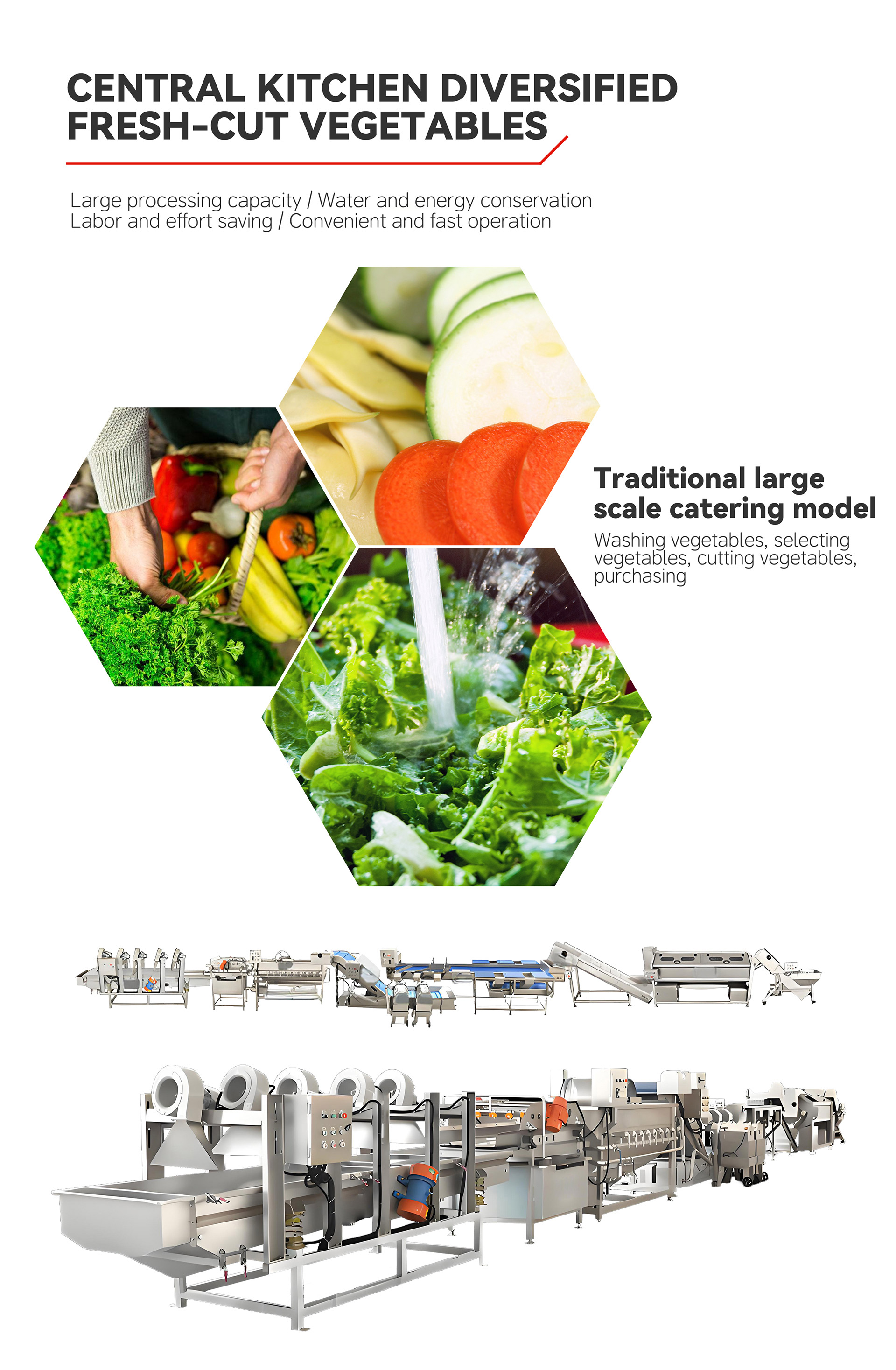 根茎类蔬菜加工流水线英文_06