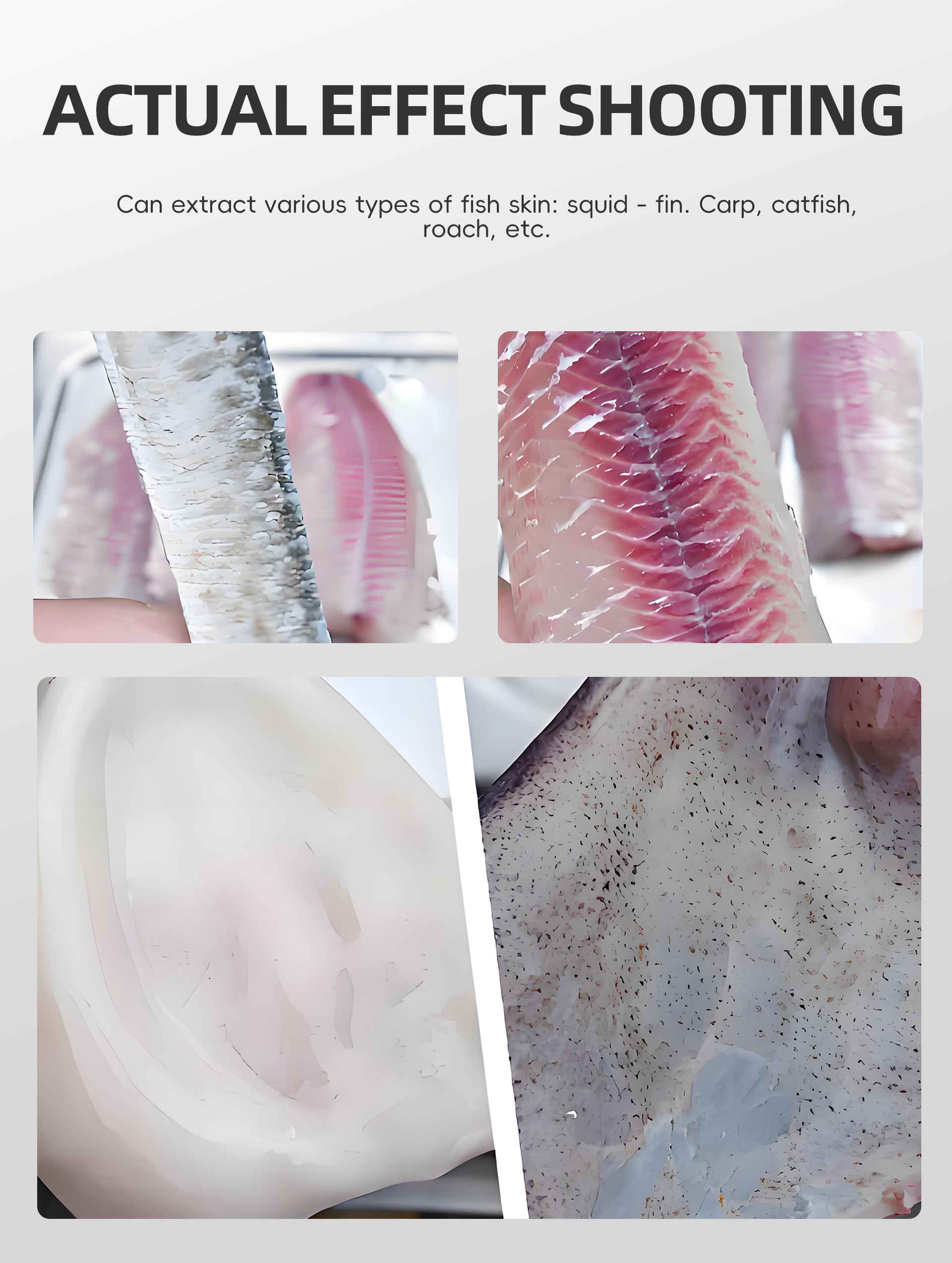 压辊式去鱼皮机英文_07