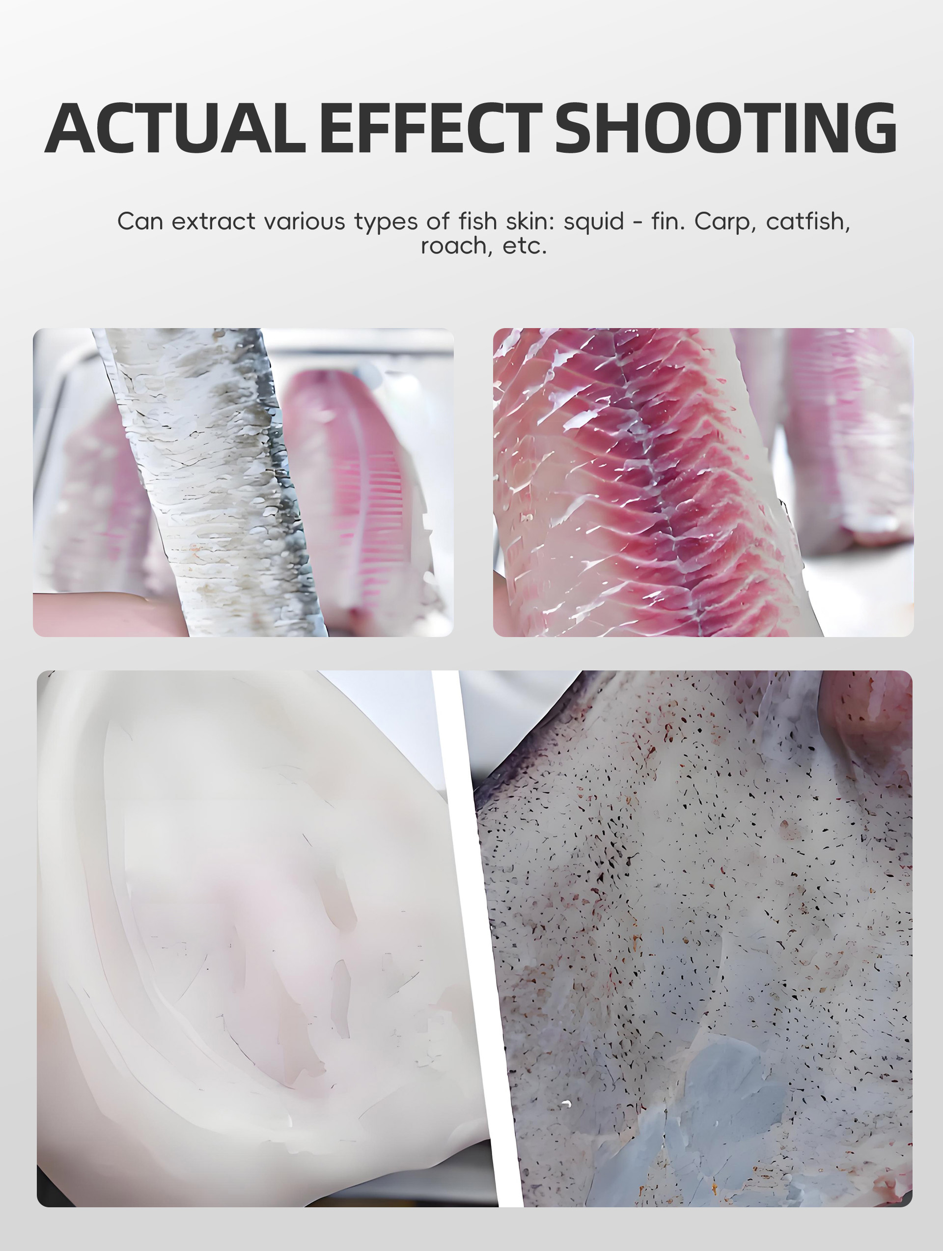 商用鱼肉去皮机英文_07