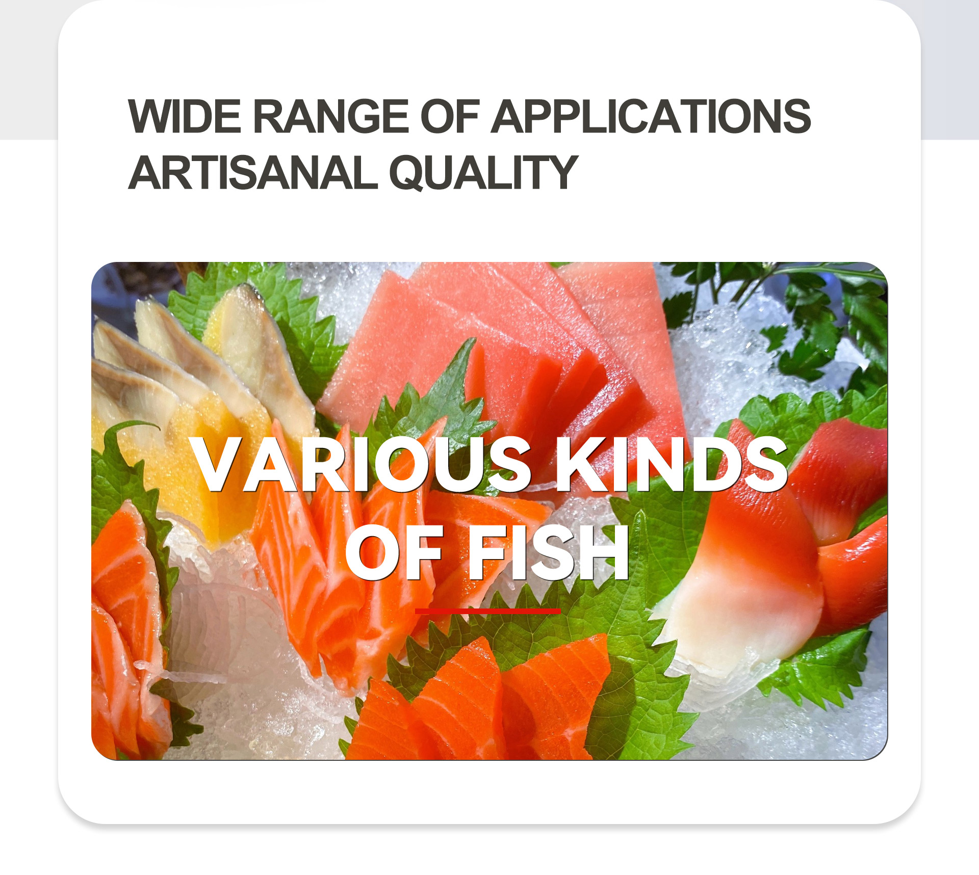 16链板式切段机英文_02