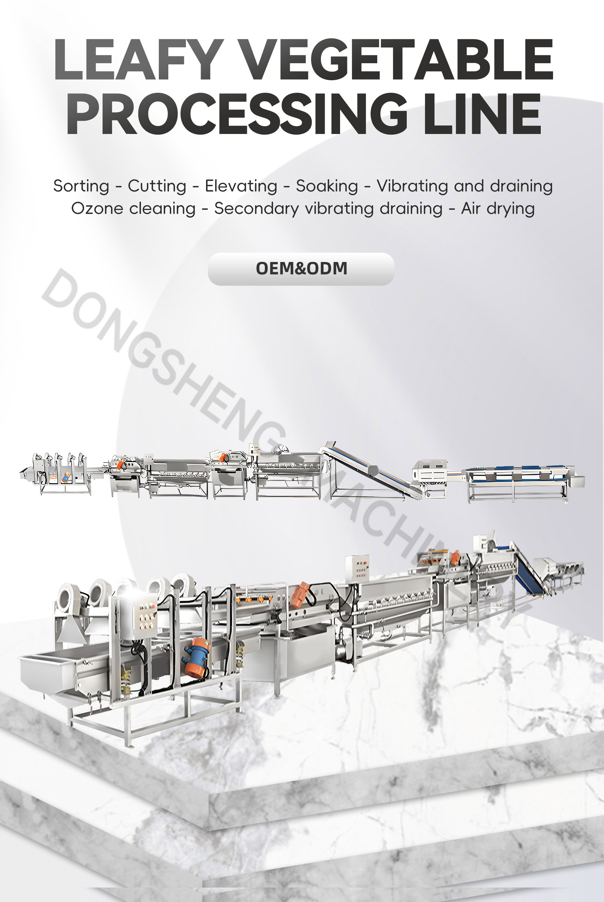 2叶菜类蔬菜加工流水线英文_01