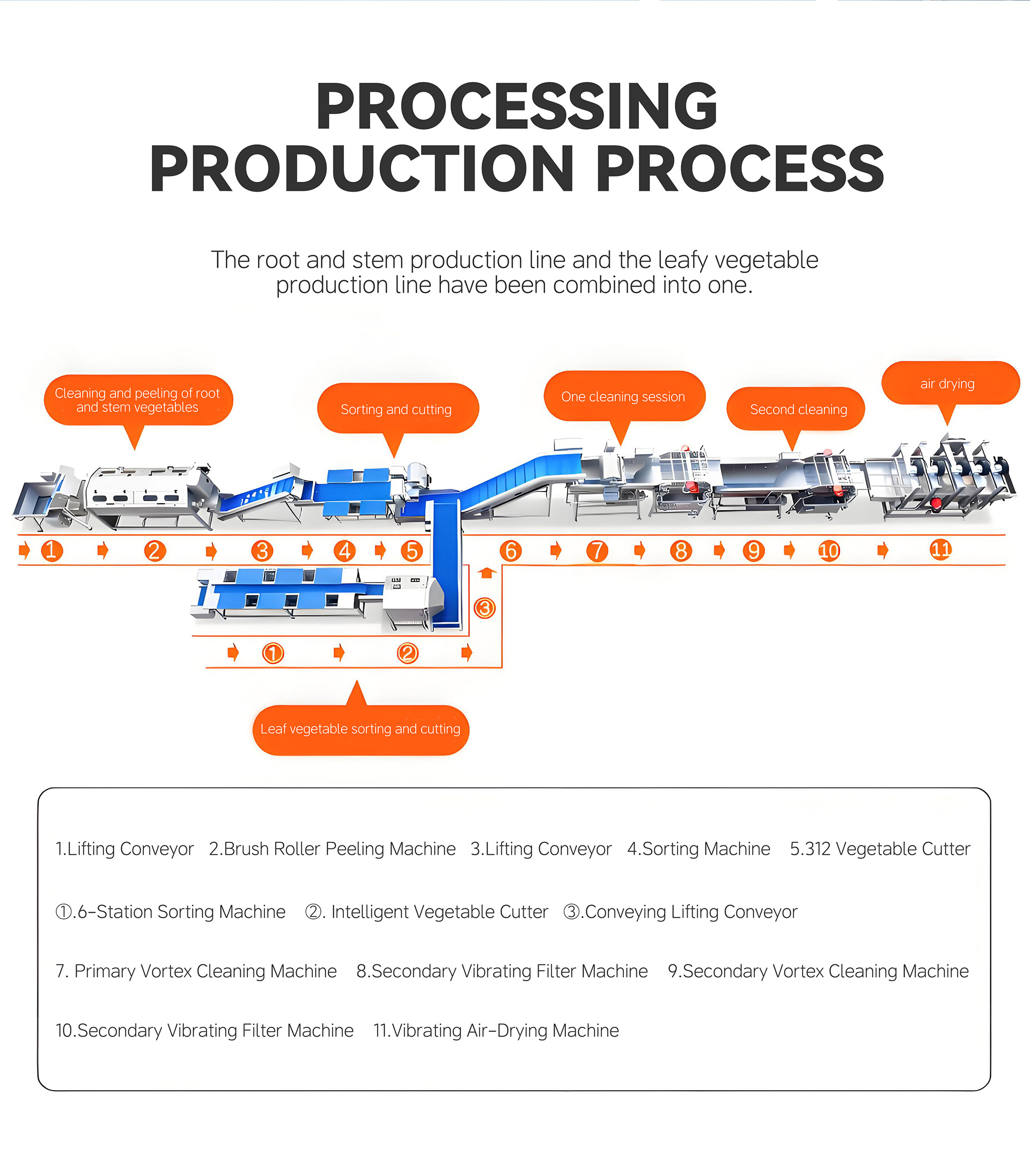 双用蔬菜加工流水线英文_01 (5)
