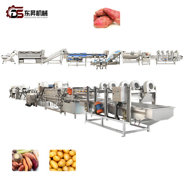 Corrosion Resistant Stainless Steel System for Large Scale Veg Factories Root Vegetable Processing Line