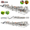 Stainless Steel Durable Machinery with Blanching Dehydration Units for Leafy Veg Plants Leafy Vegetable Processing Line