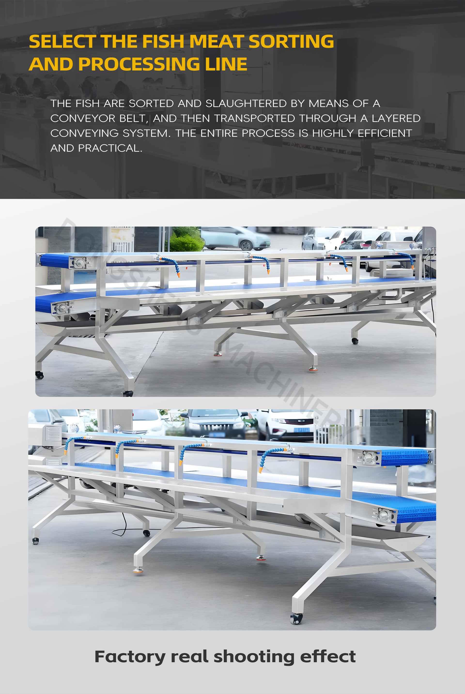 1三层分选机英文_07