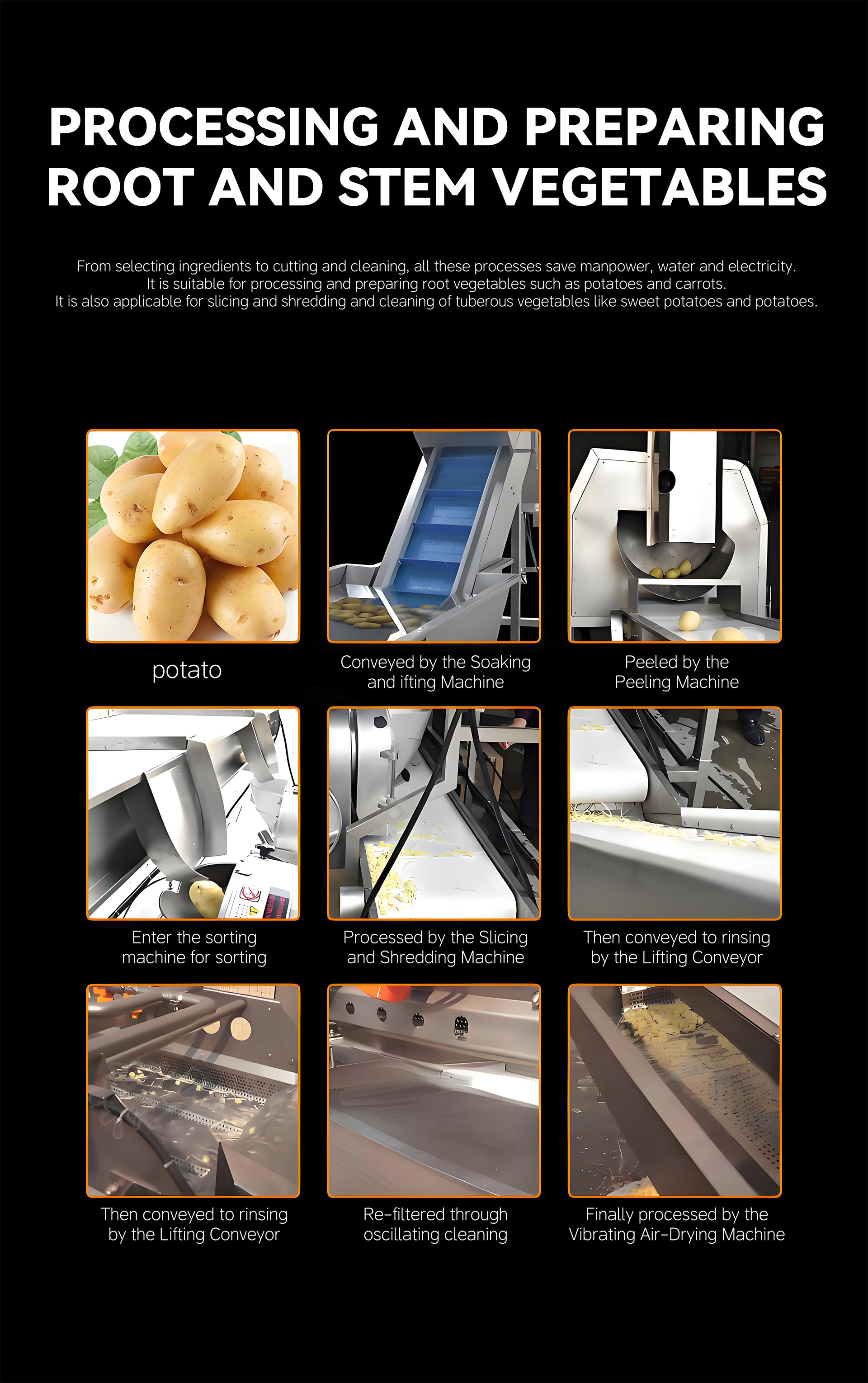 根茎类蔬菜加工流水线英文_07