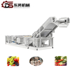 Industrial Vegetable Washer with Stainless Steel Bubble Technology
