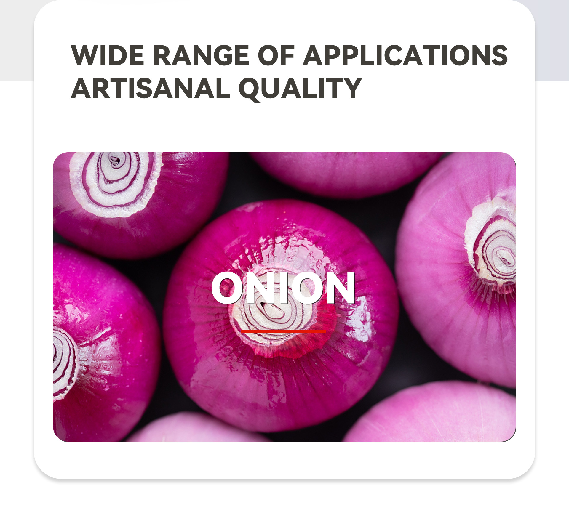 9洋葱去皮机机英文_02