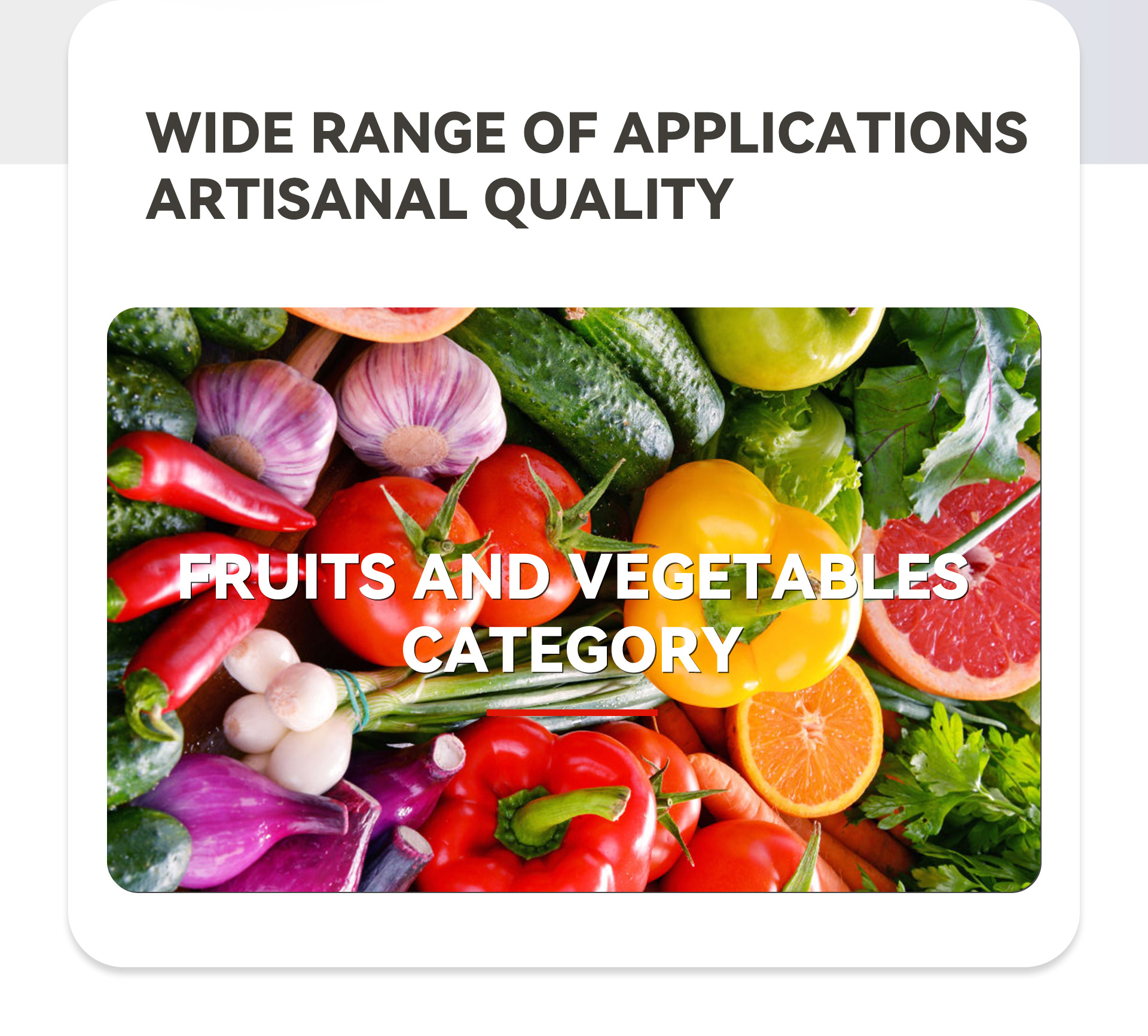 1果蔬打碎机英文_02