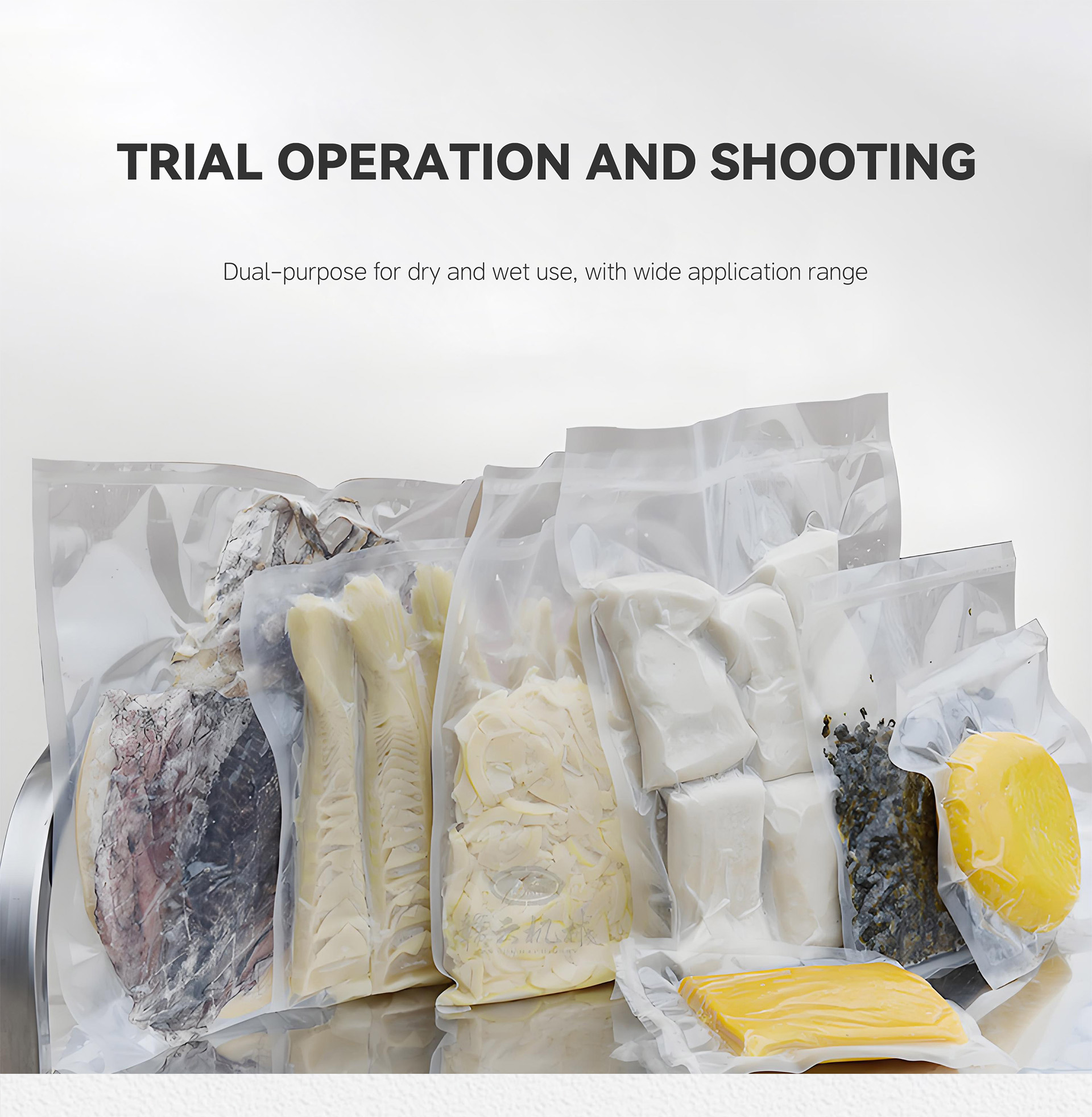 1双室真空包装机英文_06