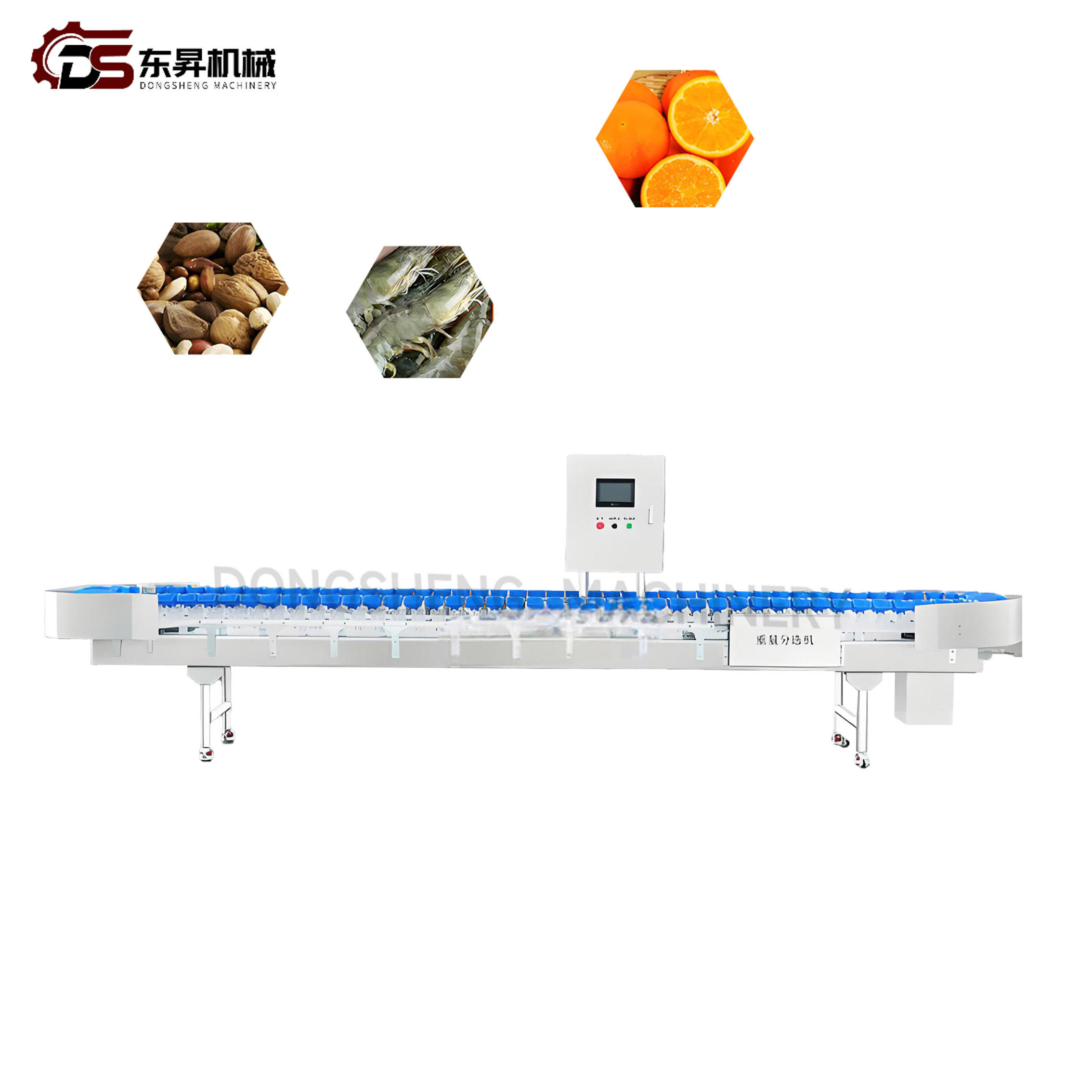 Automated Weight Sorting Machinery with Timers for Root Vegetable Processing Workshops Weight Sorter