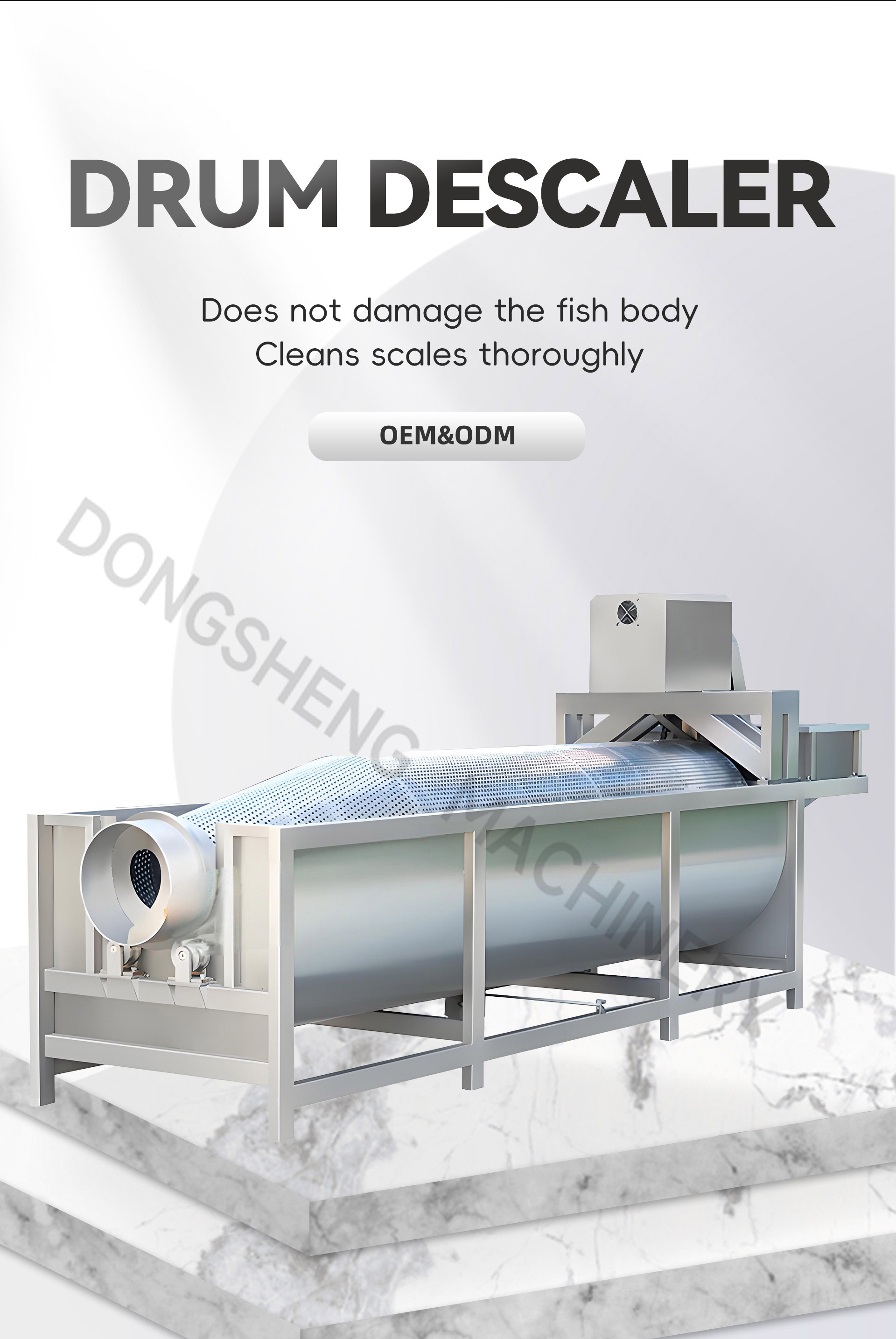 10滚筒去鳞机英文_01