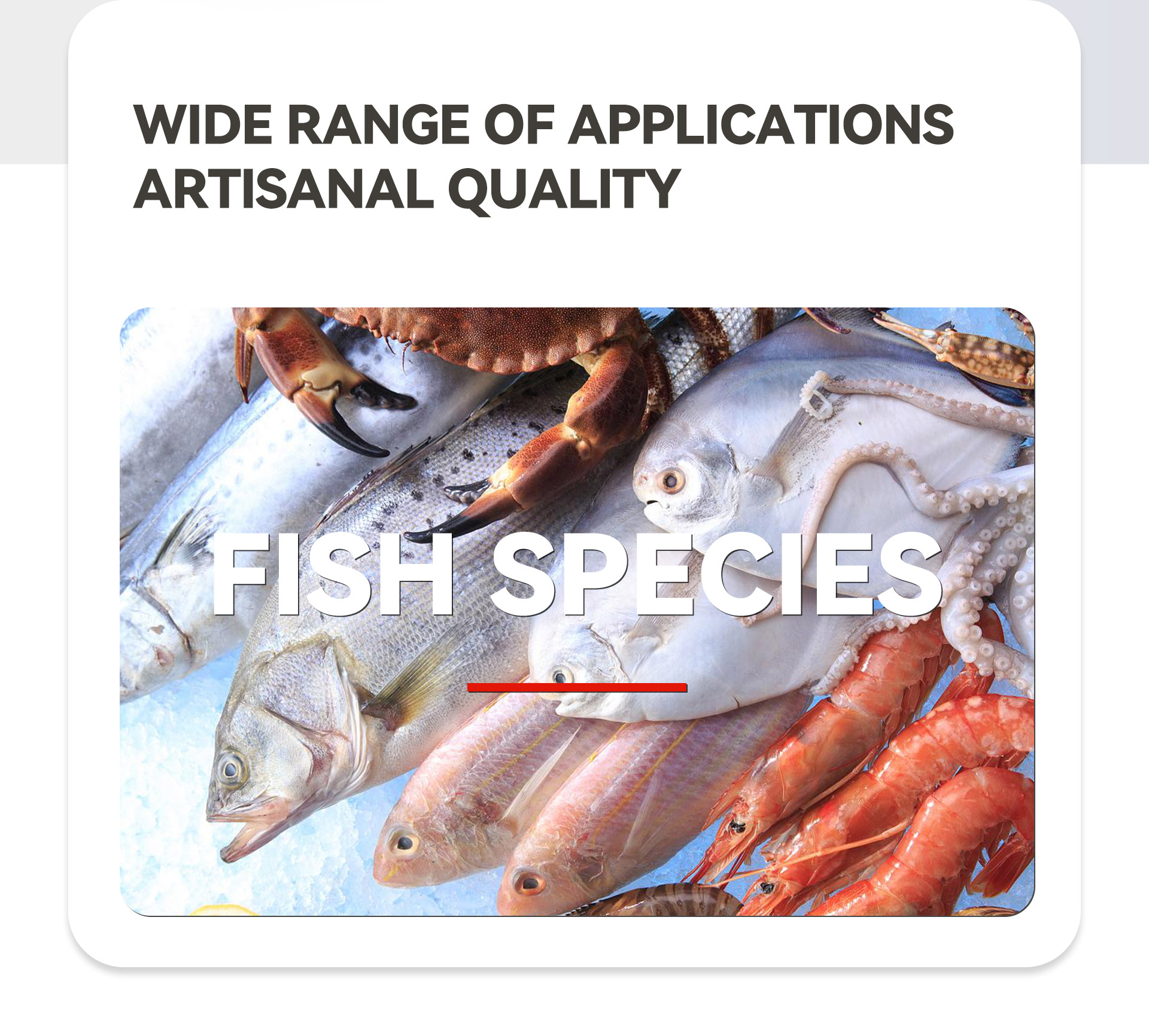 4去鳞开背一体机英文_02