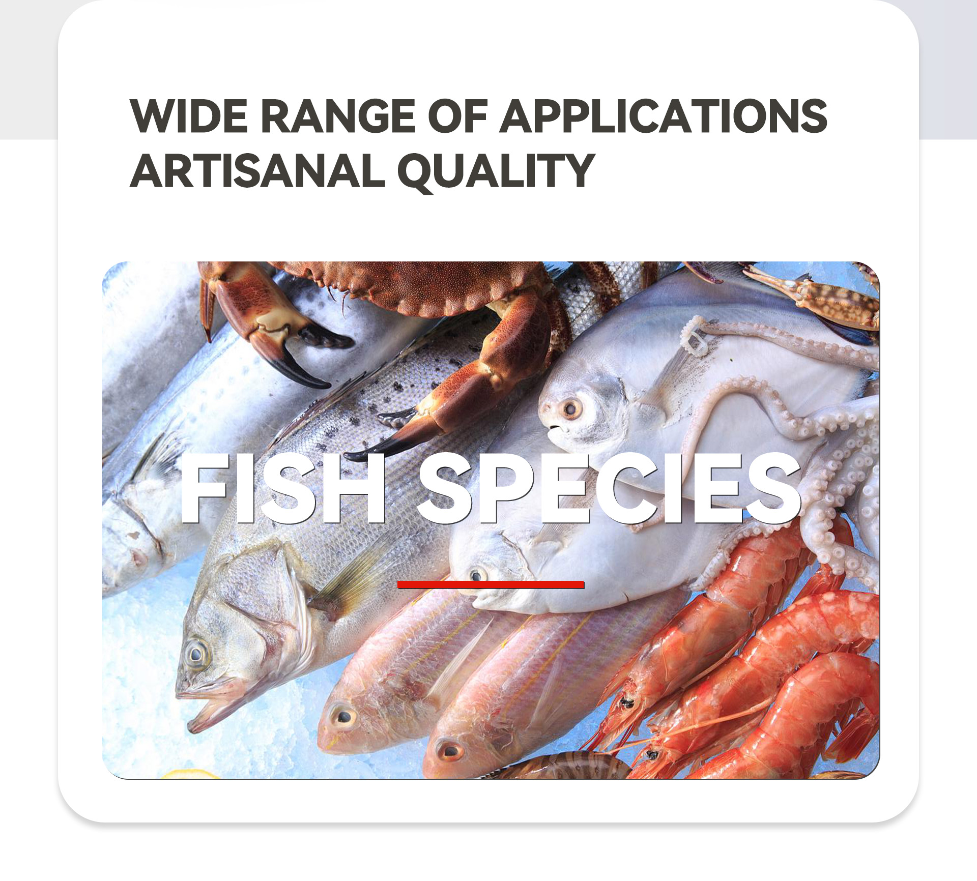 5三枚开片去中骨机英文_02