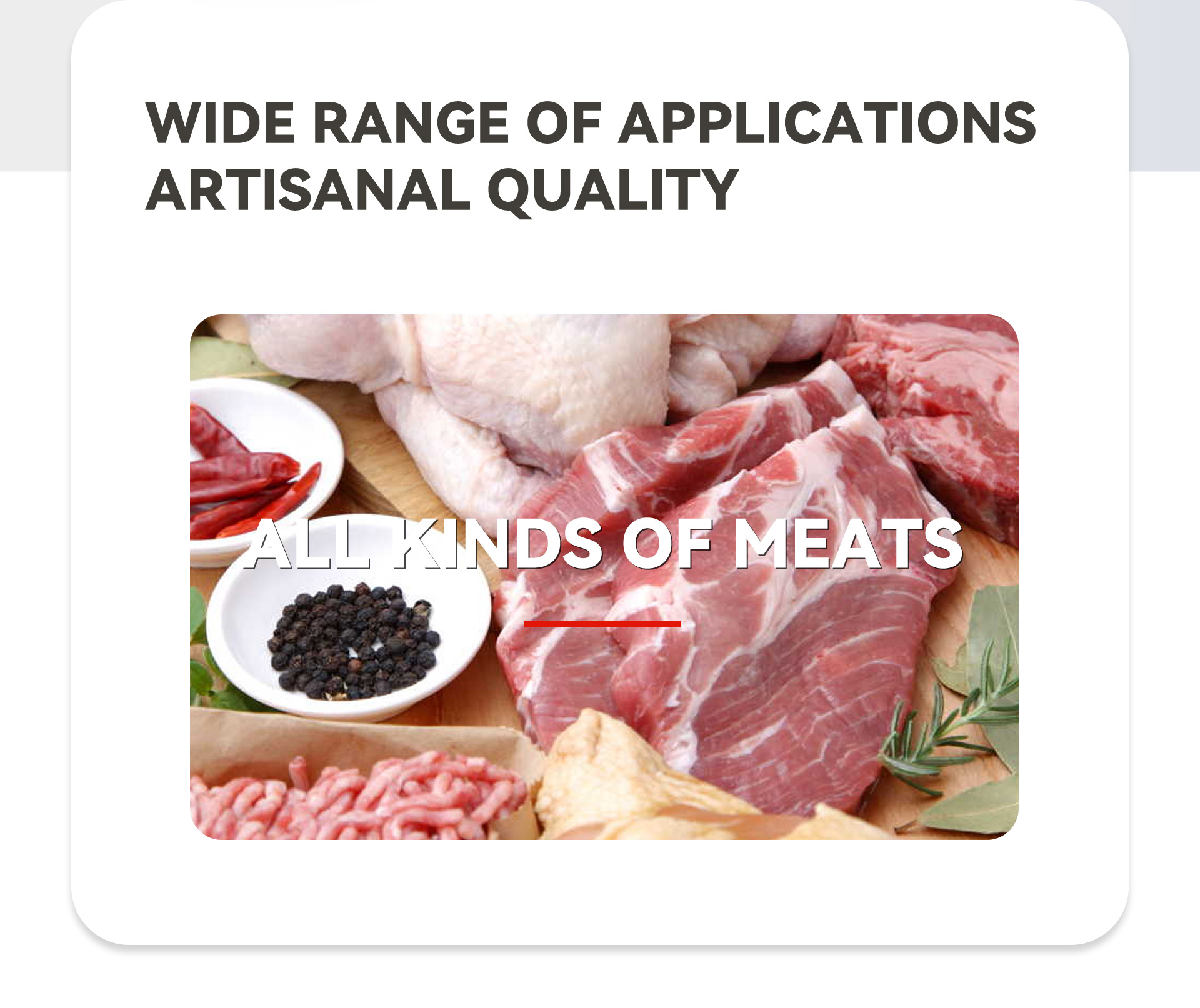 160鲜肉切片机英文_02