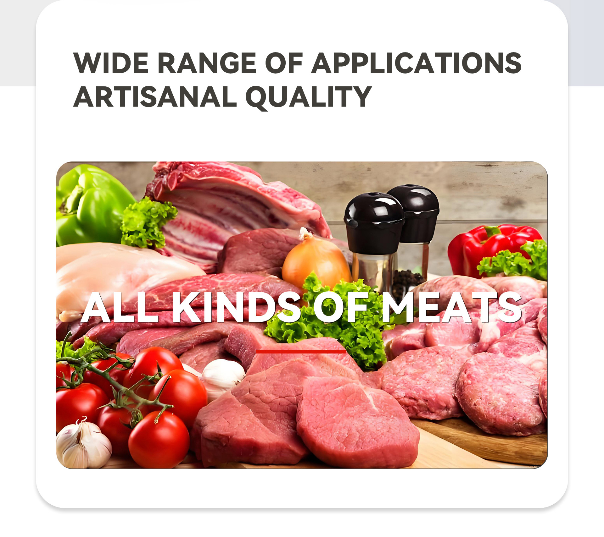 400冻肉切丁机英文_02