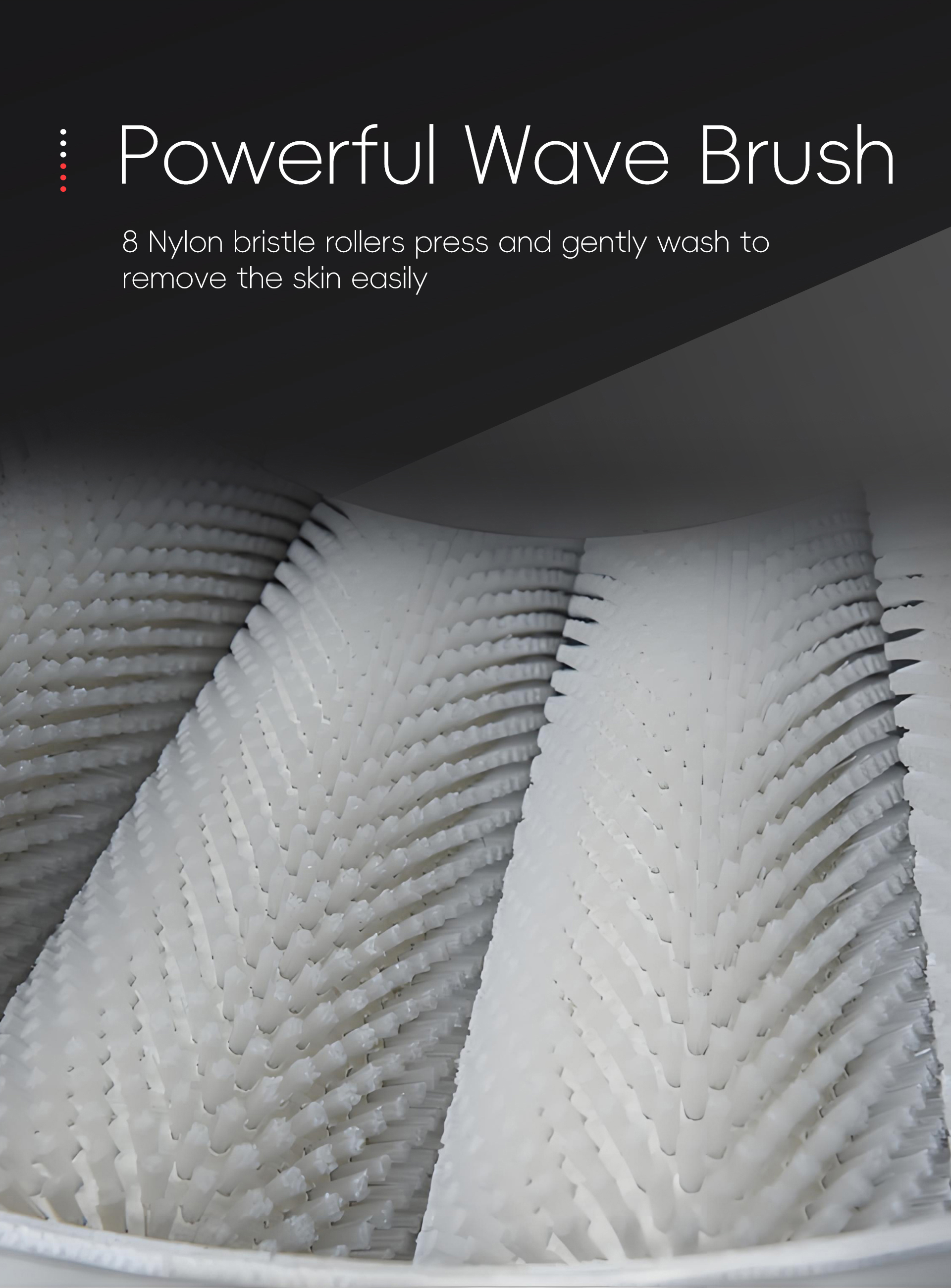 连续式毛刷洗机英文_05