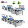 Water Saving High Efficiency Machine with Soft Sprayers for Medium Veg Plants Vegetable Nondestructive Cleaning Line