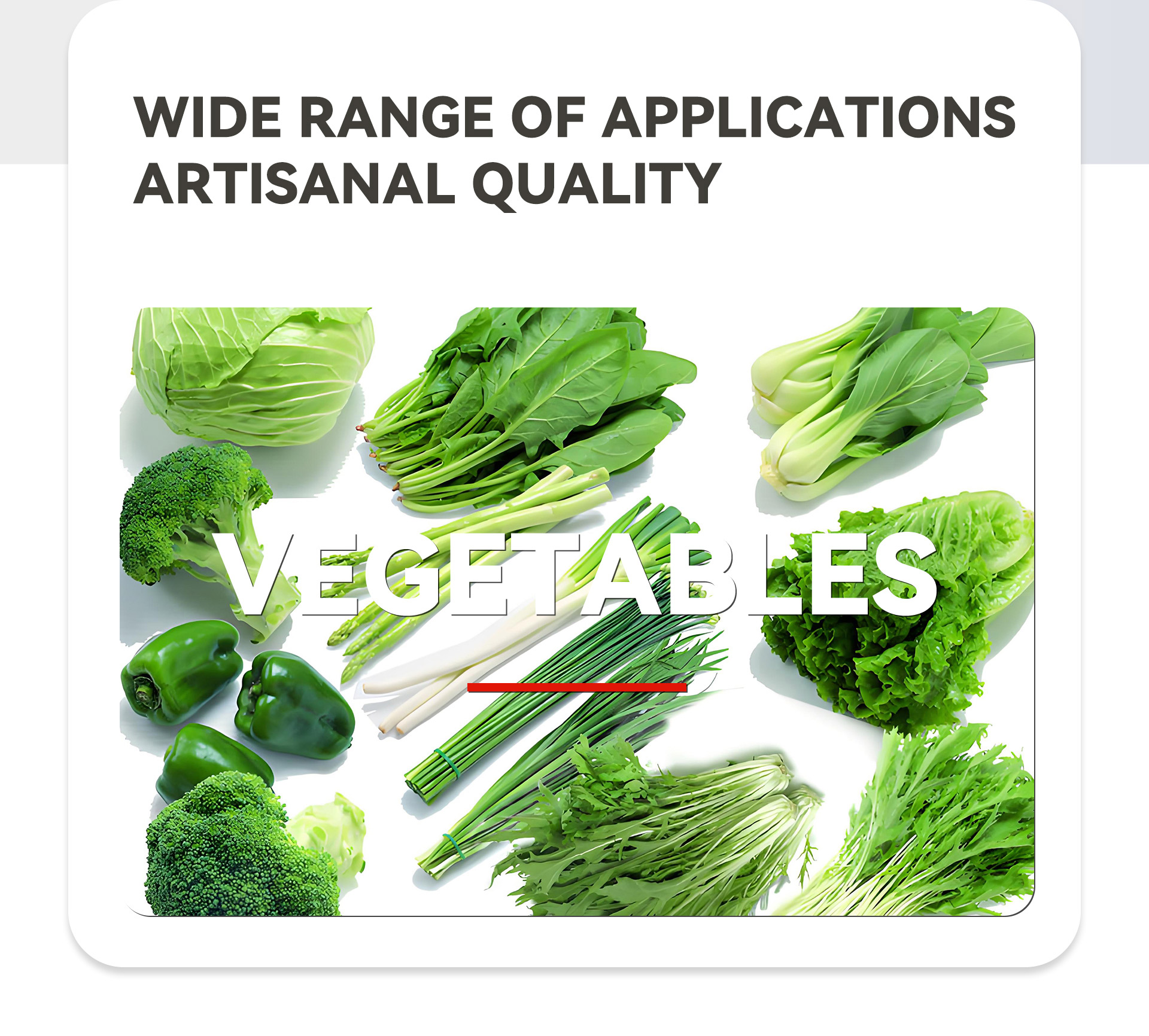 2叶菜类蔬菜加工流水线英文_02