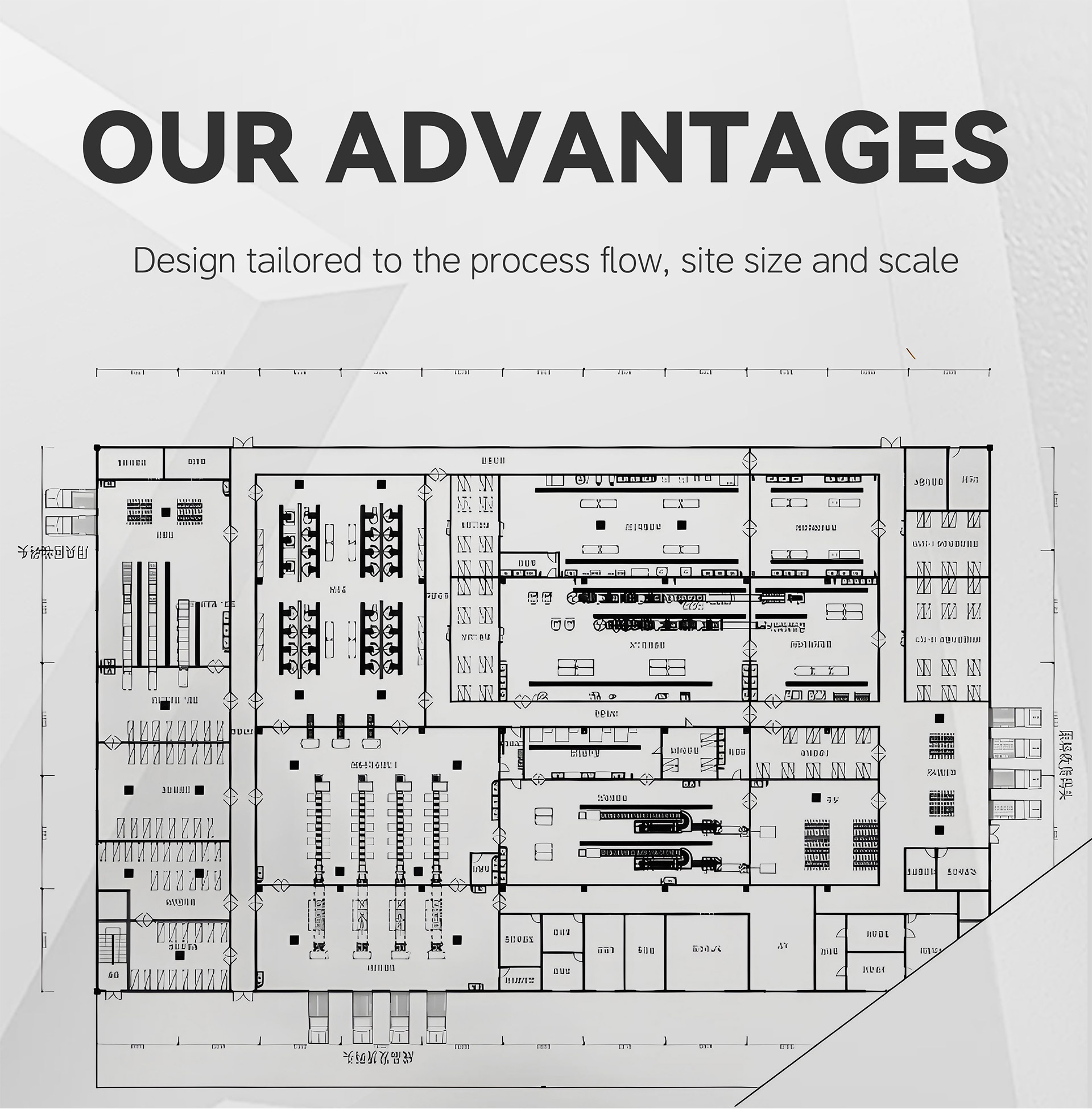 双用蔬菜加工流水线英文_01 (6)