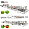Stainless Steel Durable Machinery with Blanching Dehydration Units for Leafy Veg Plants Leafy Vegetable Processing Line