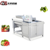Hot Sale UL Certificated Multifunctional Vegetables Fruits Washer Machine for Washing Cleaning Banana Kiwi Ginger Pepper Spinach with Automatic Upturn Discharge