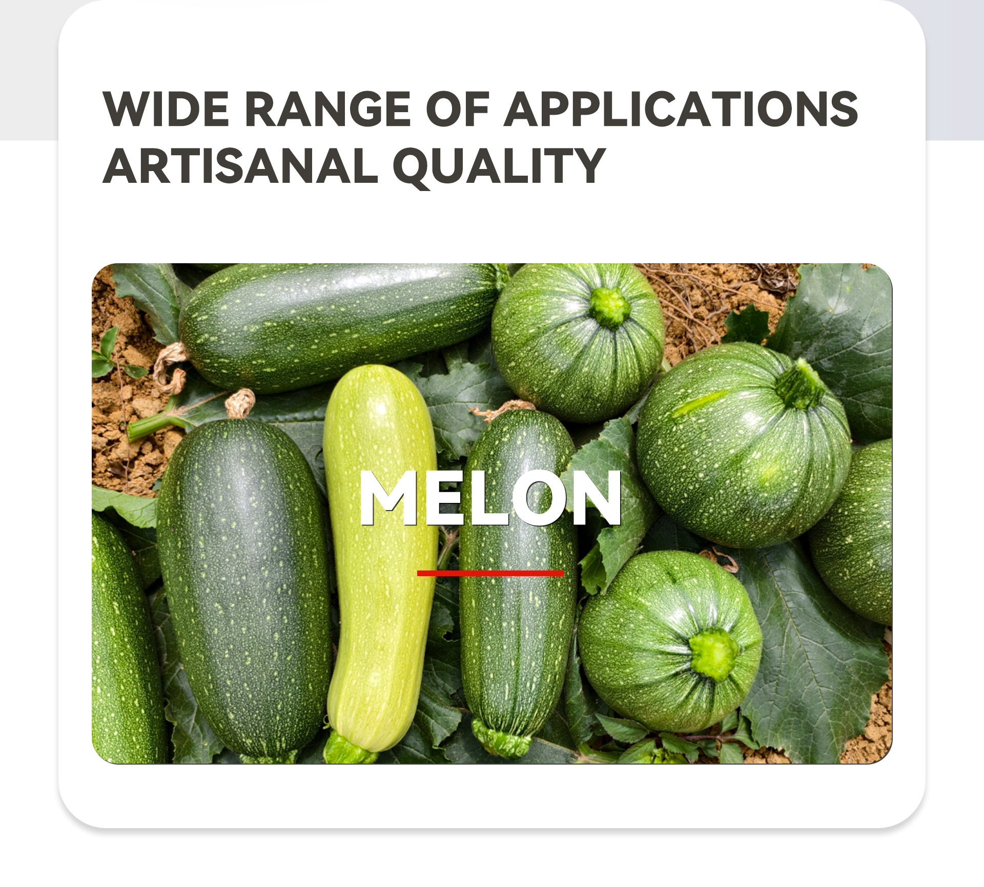 7大型冬瓜削皮机英文_02