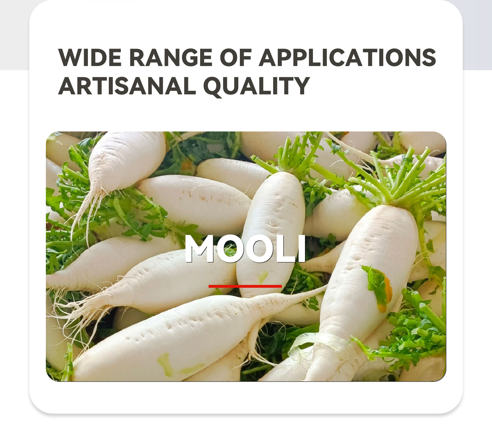 4白萝卜削皮机英文_02