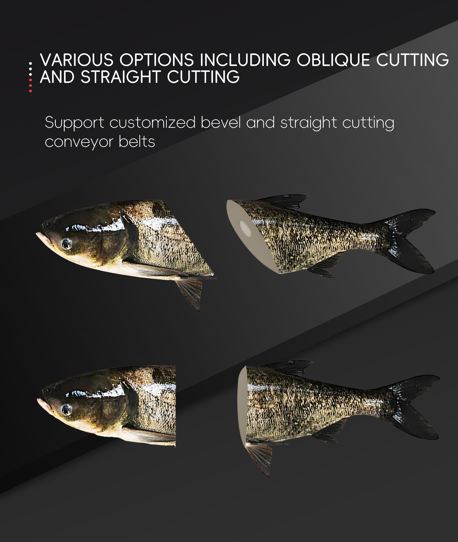 16链板式切段机英文_05