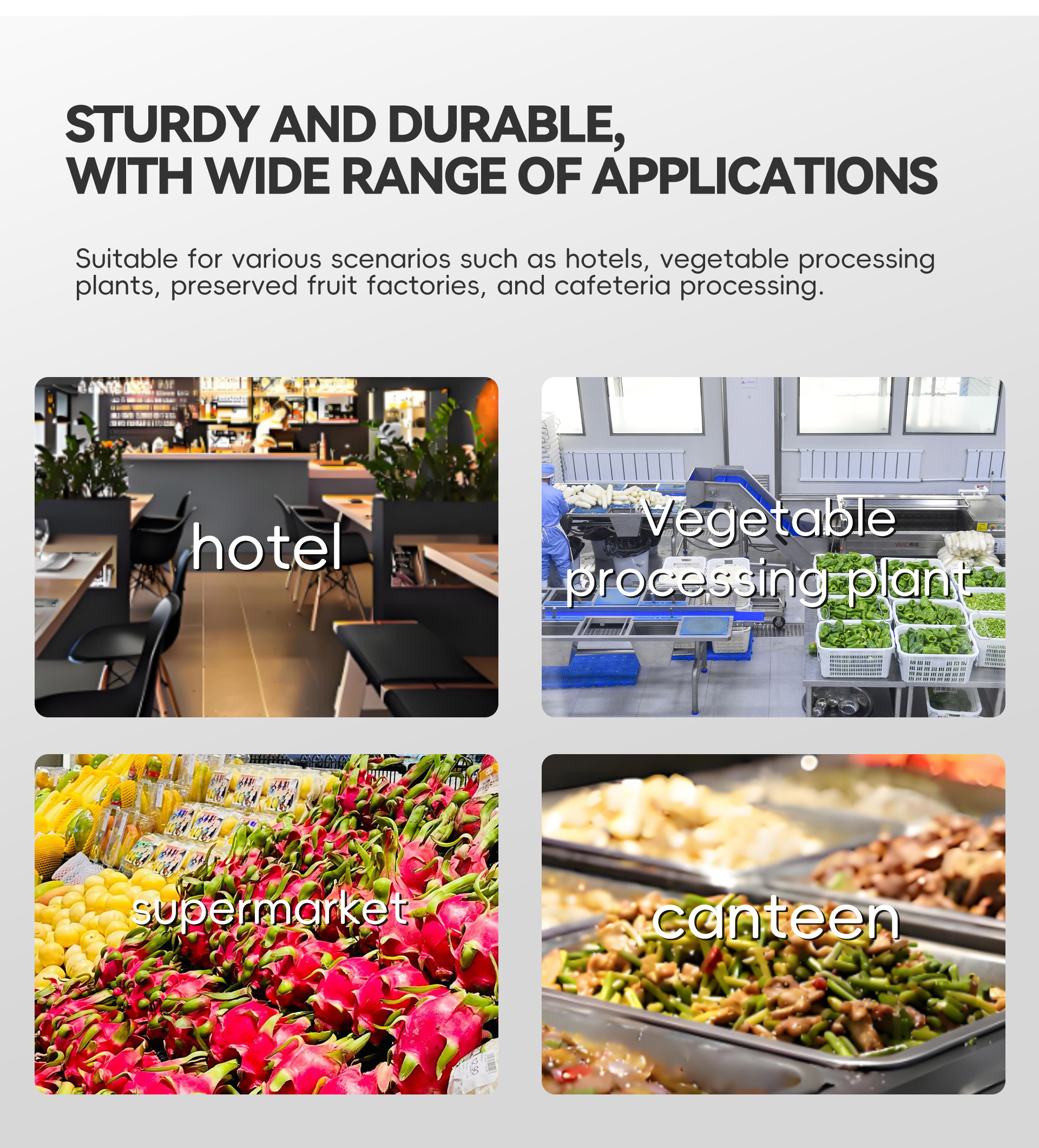 5.蔬菜无损清洗线英文_09