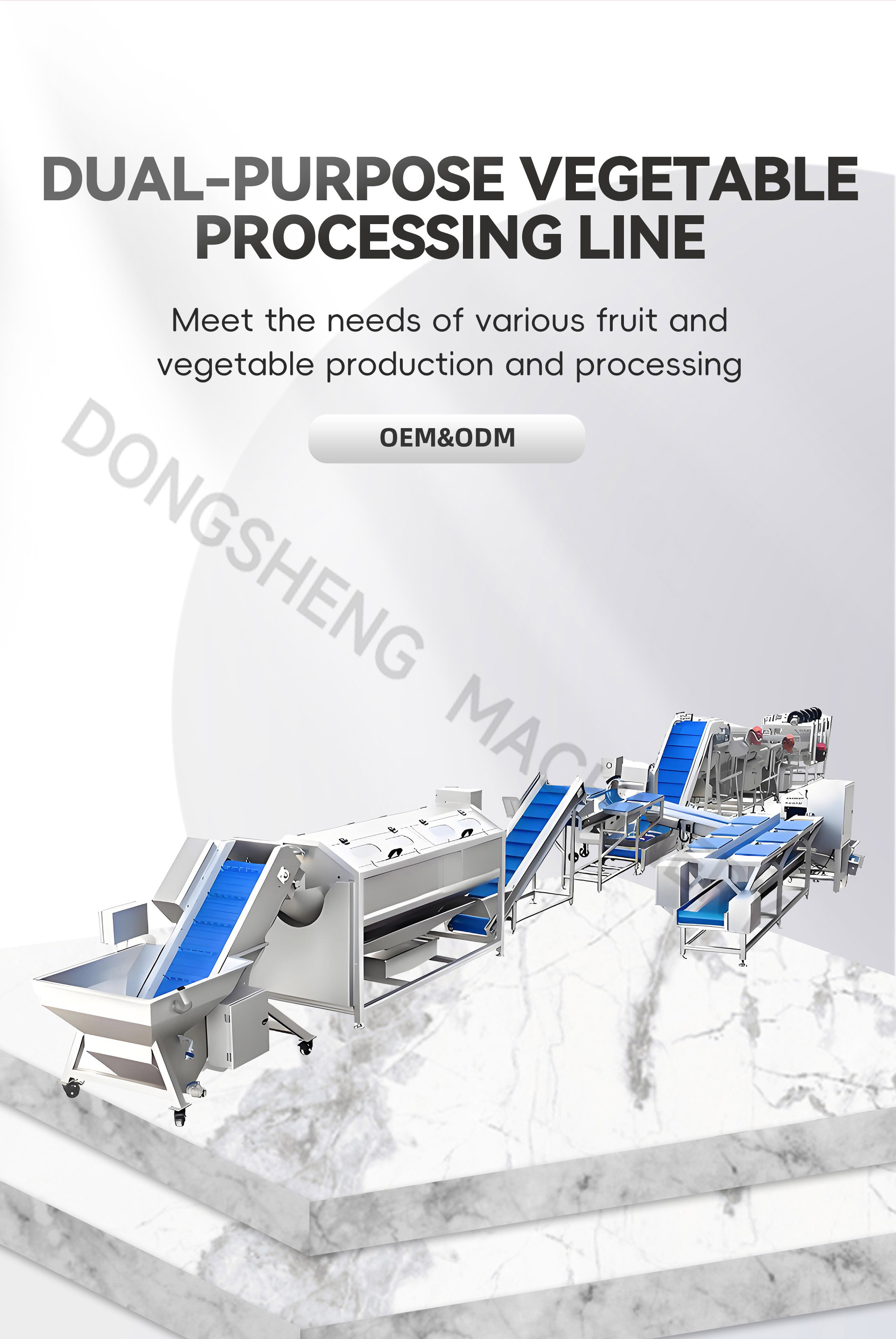 双用蔬菜加工流水线英文_01-(1)
