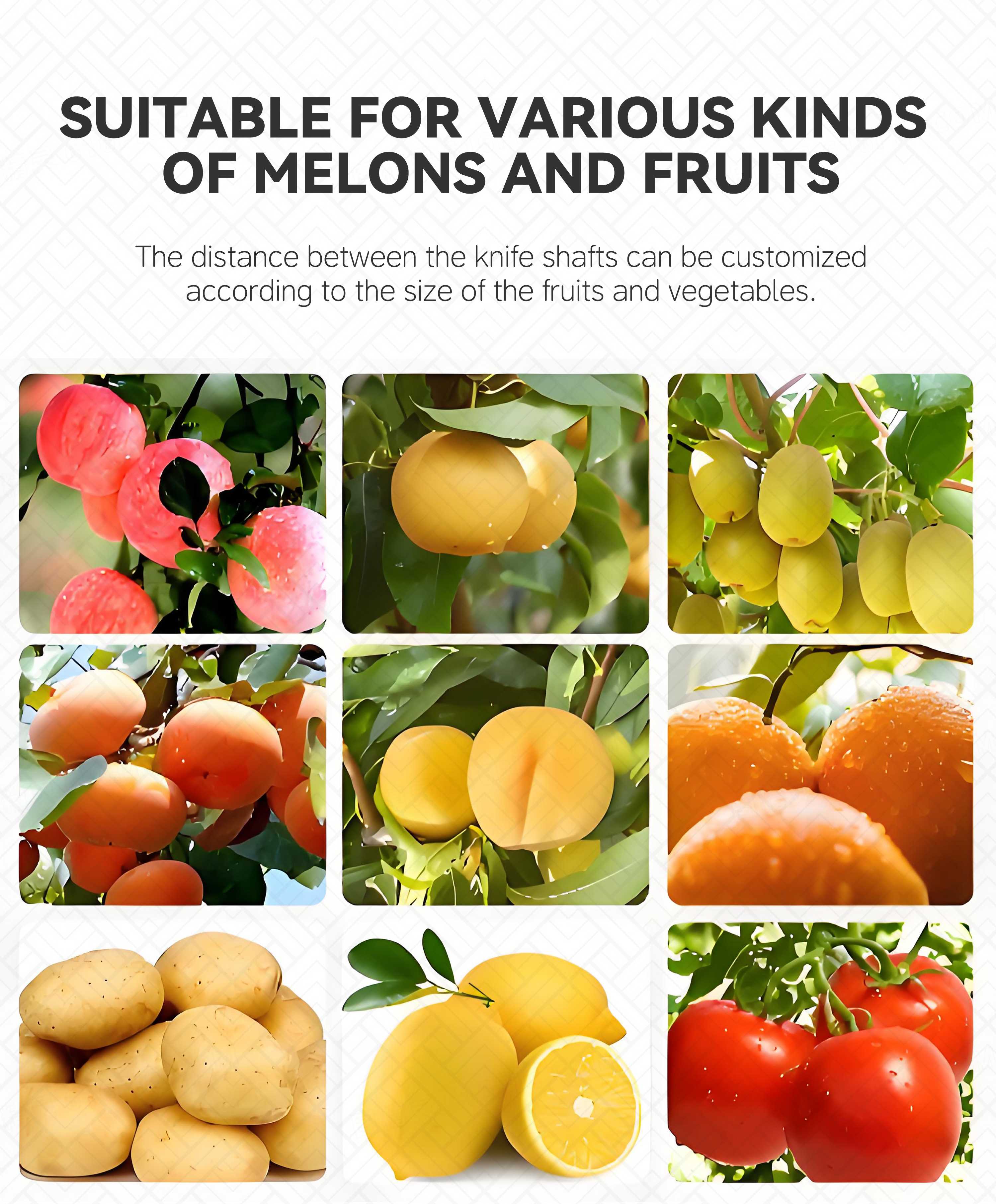 10双工位苹果梨削皮机英文_006