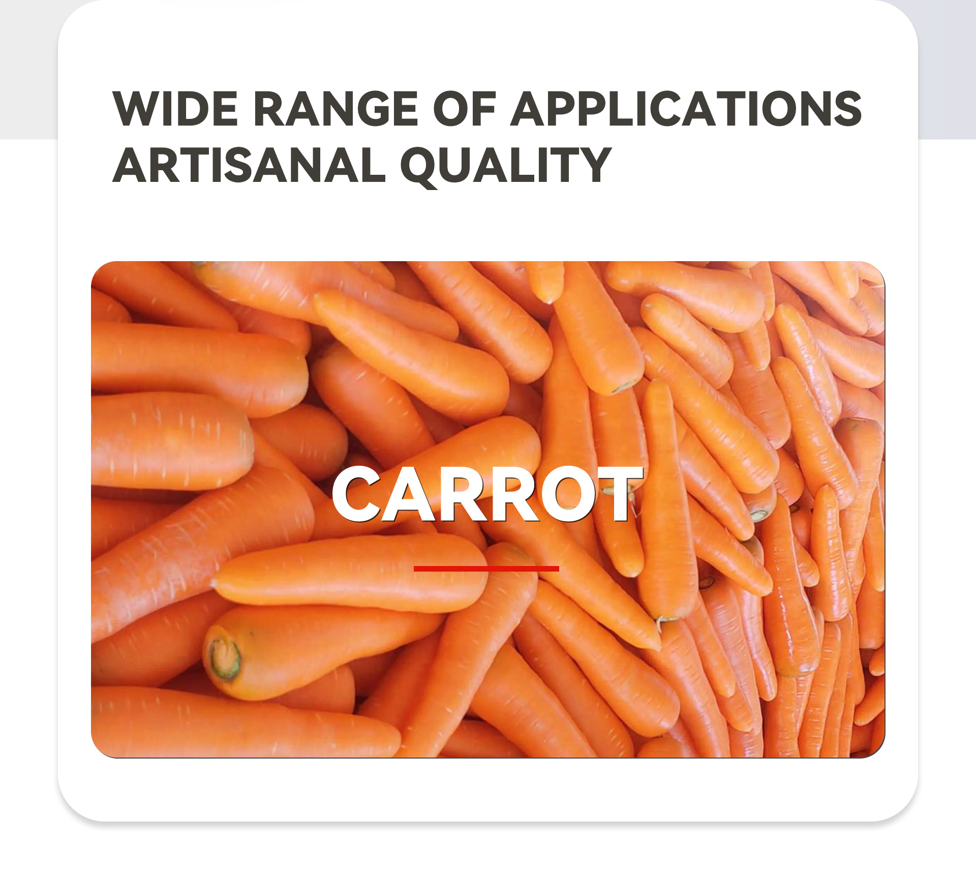 3胡萝卜削皮机英文_02