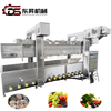 Dongsheng Stainless Steel Steaming Boiling Blanching Line for Vegetables