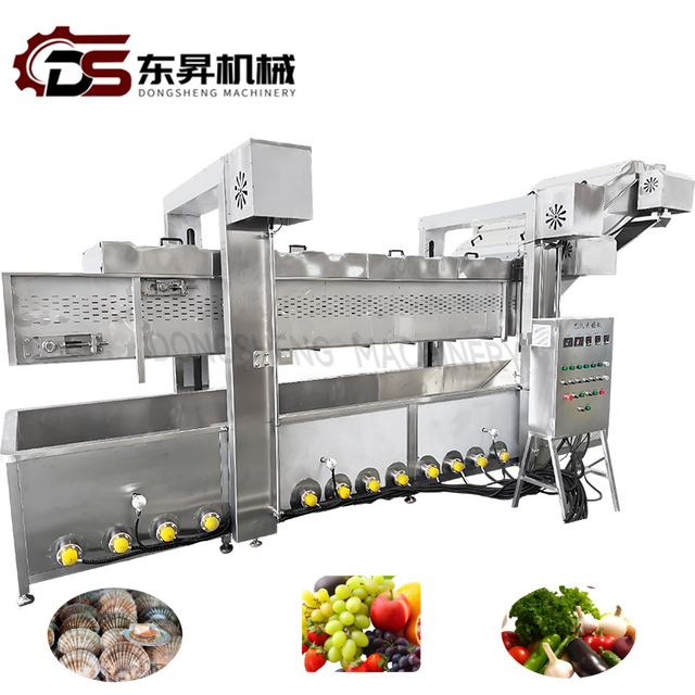 Dongsheng Stainless Steel Steaming Boiling Blanching Line for Vegetables