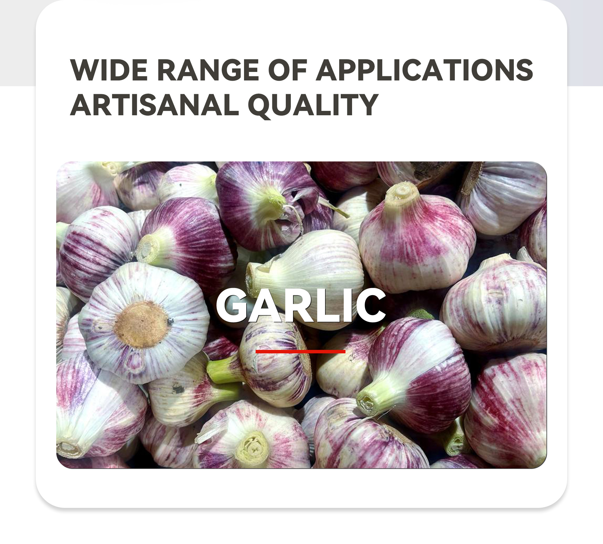 5大蒜破瓣机英文_02