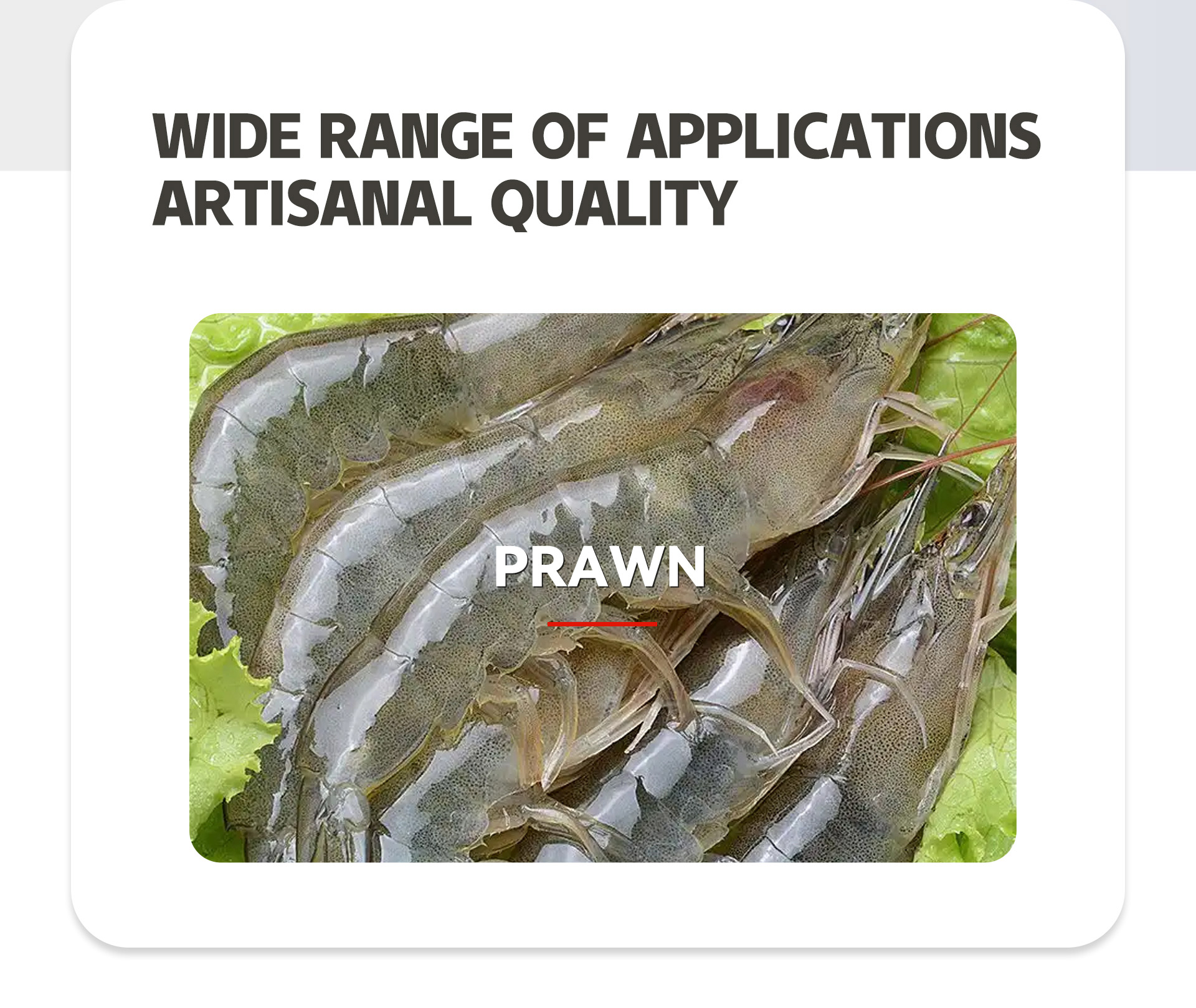 全自动剥虾去虾线机英文_02