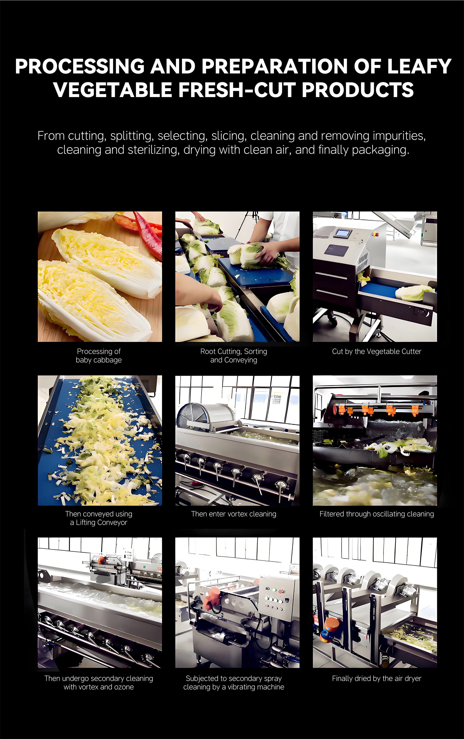 2叶菜类蔬菜加工流水线英文_07
